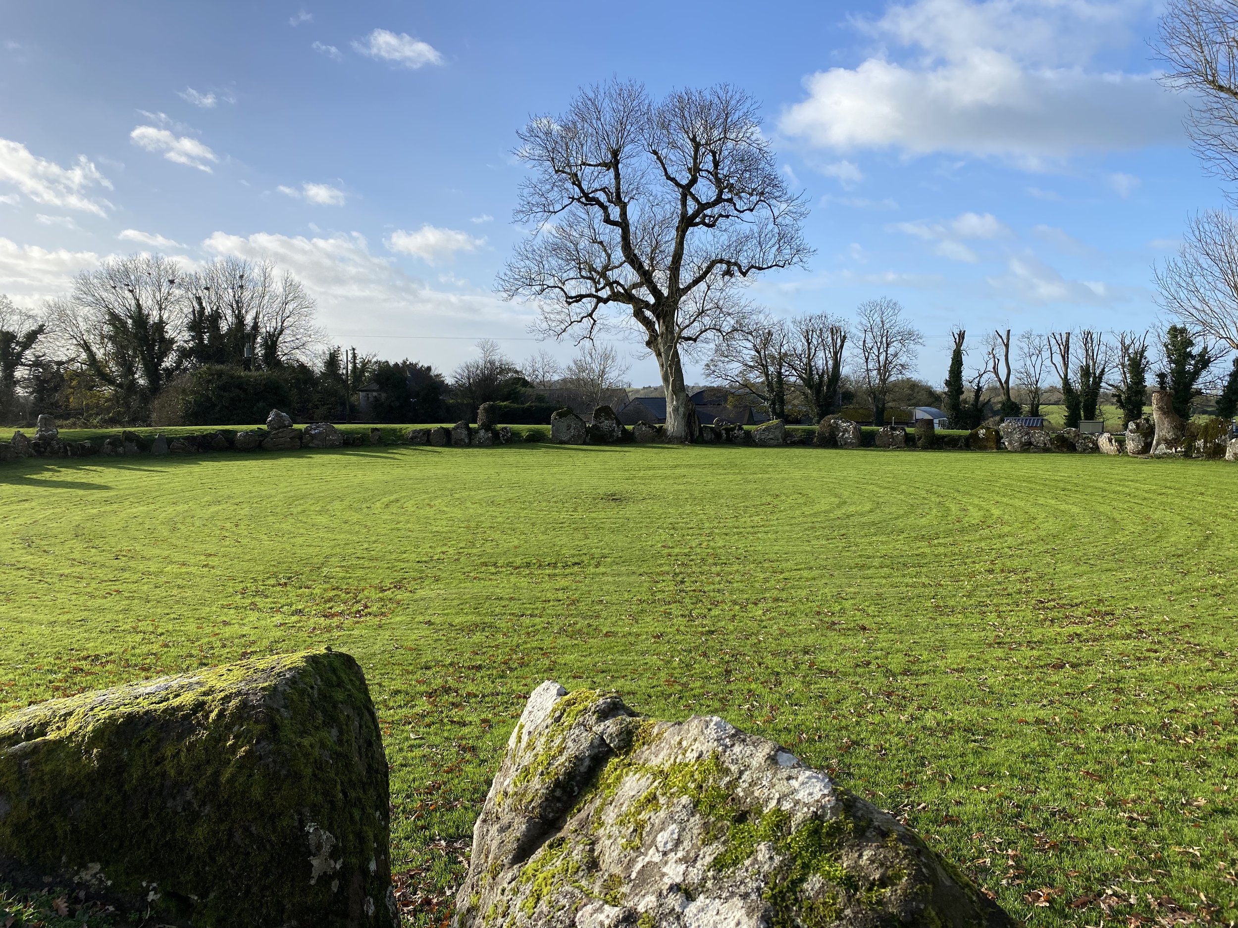 A large stone circle in a grassy field, surrounded by leafless trees and a blue sky with scattered clouds. The grass appears well-maintained and a large tree stands prominently within the circle. Moss-covered rocks are in the foreground.