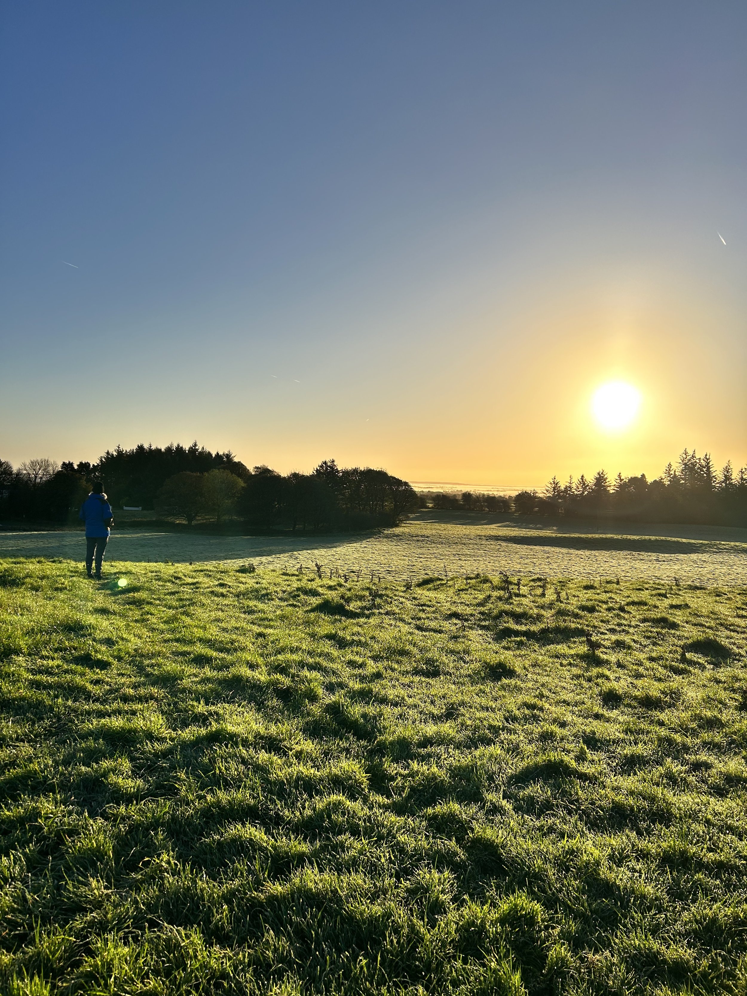 A scenic view of a grassy field at sunrise with a person in blue standing in the distance. The sun is low in the sky, casting warm light and long shadows. Trees line the horizon.