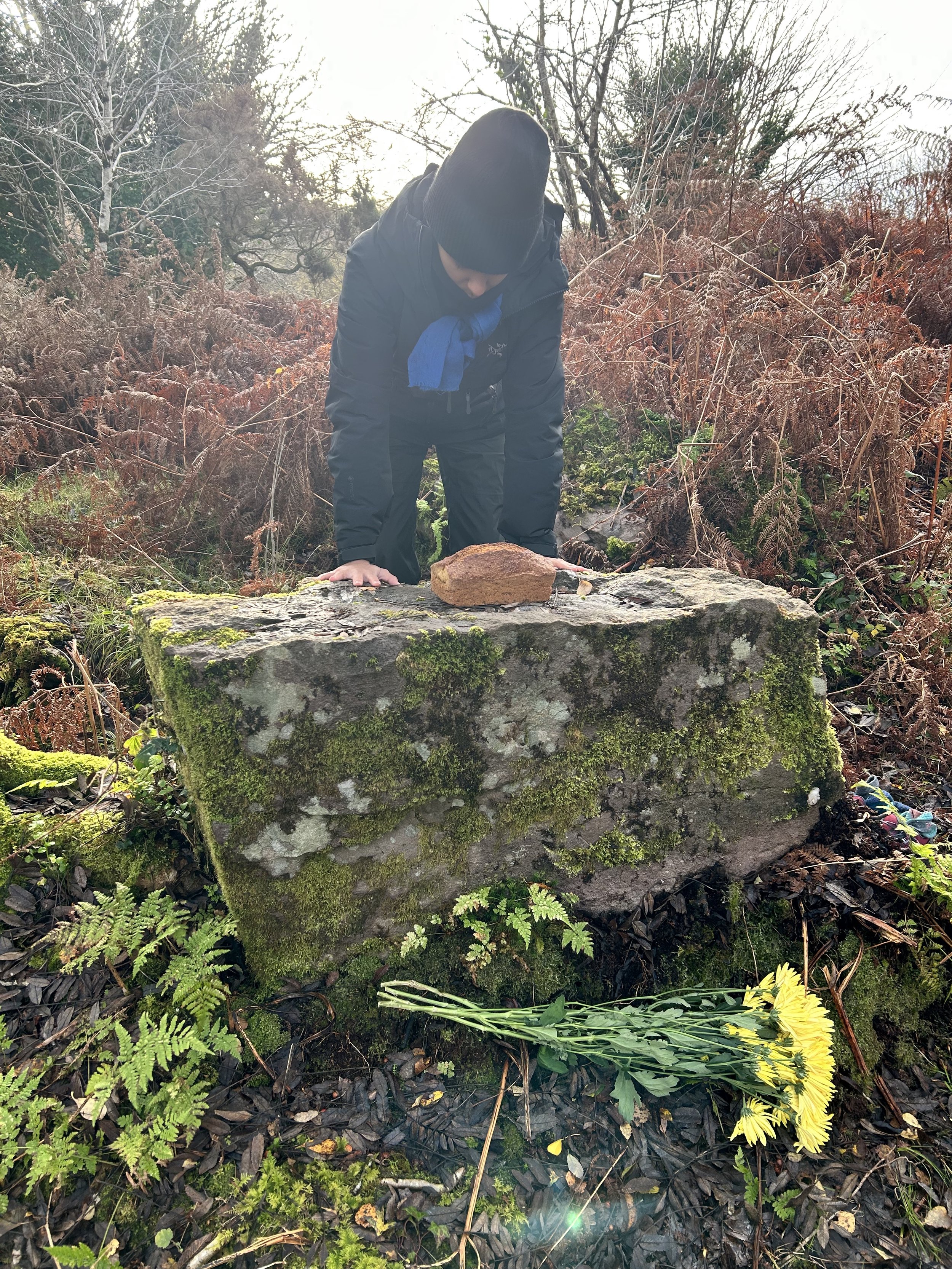 A person in a black jacket and hat leaning over a moss-covered stone slab in a forested area with ferns and yellow flowers on the ground.