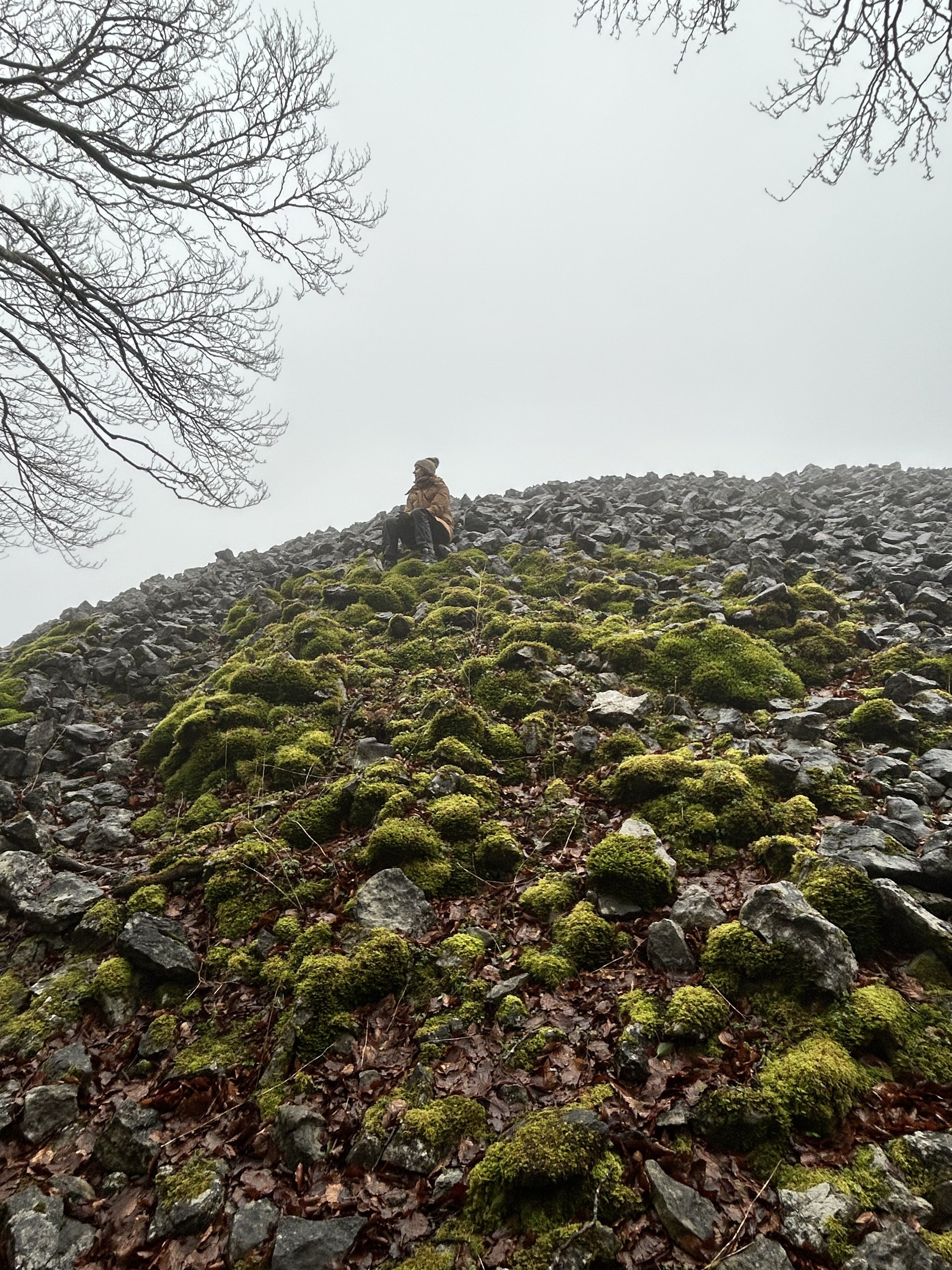 Person sitting on a rocky hillside with moss and bare trees.