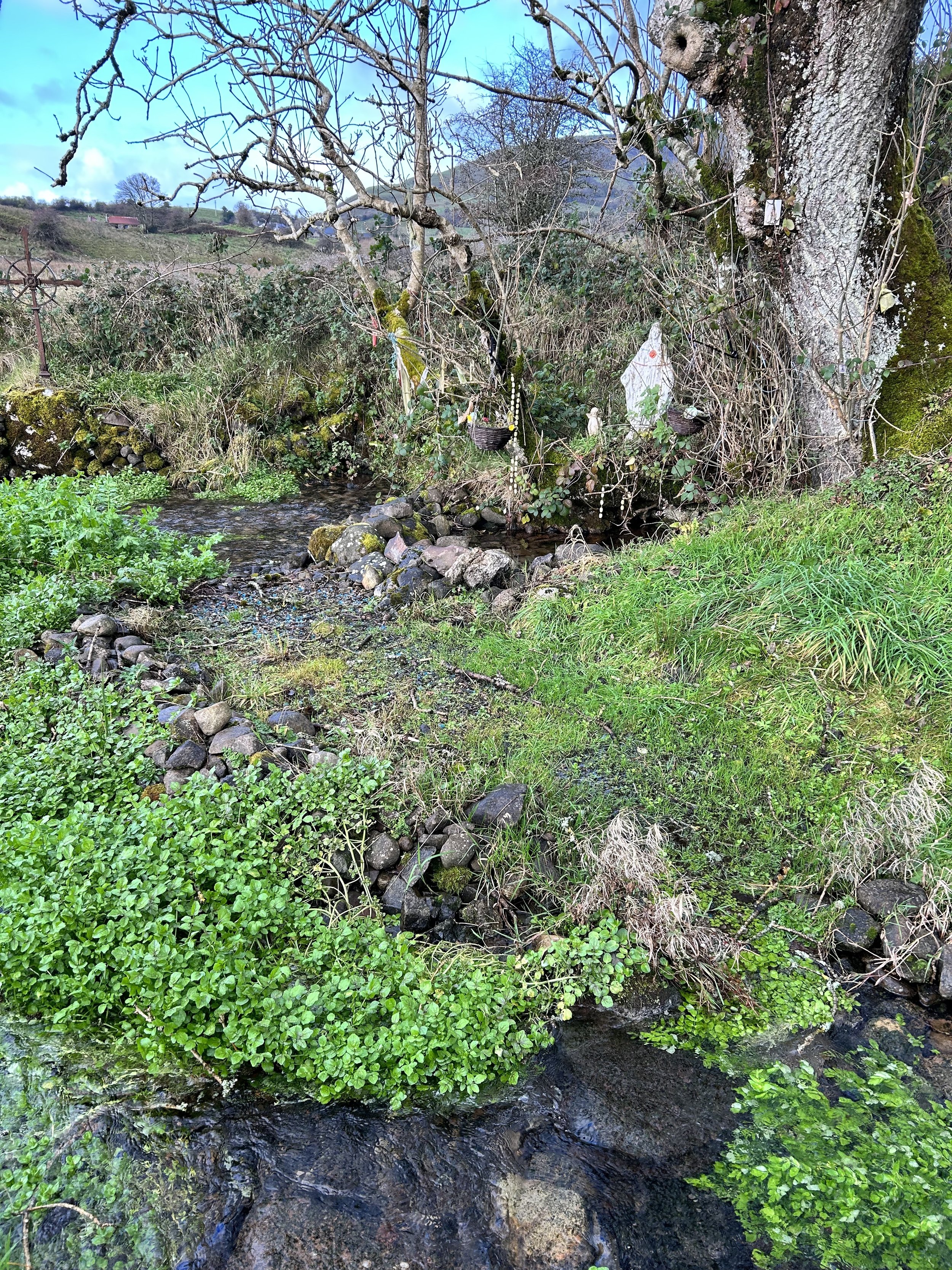 A scenic outdoor landscape featuring a small stream flowing through green grass and vegetation. There are trees with bare branches and a tree stump on the right. The setting appears natural and tranquil, with stone arrangements along the stream bank.