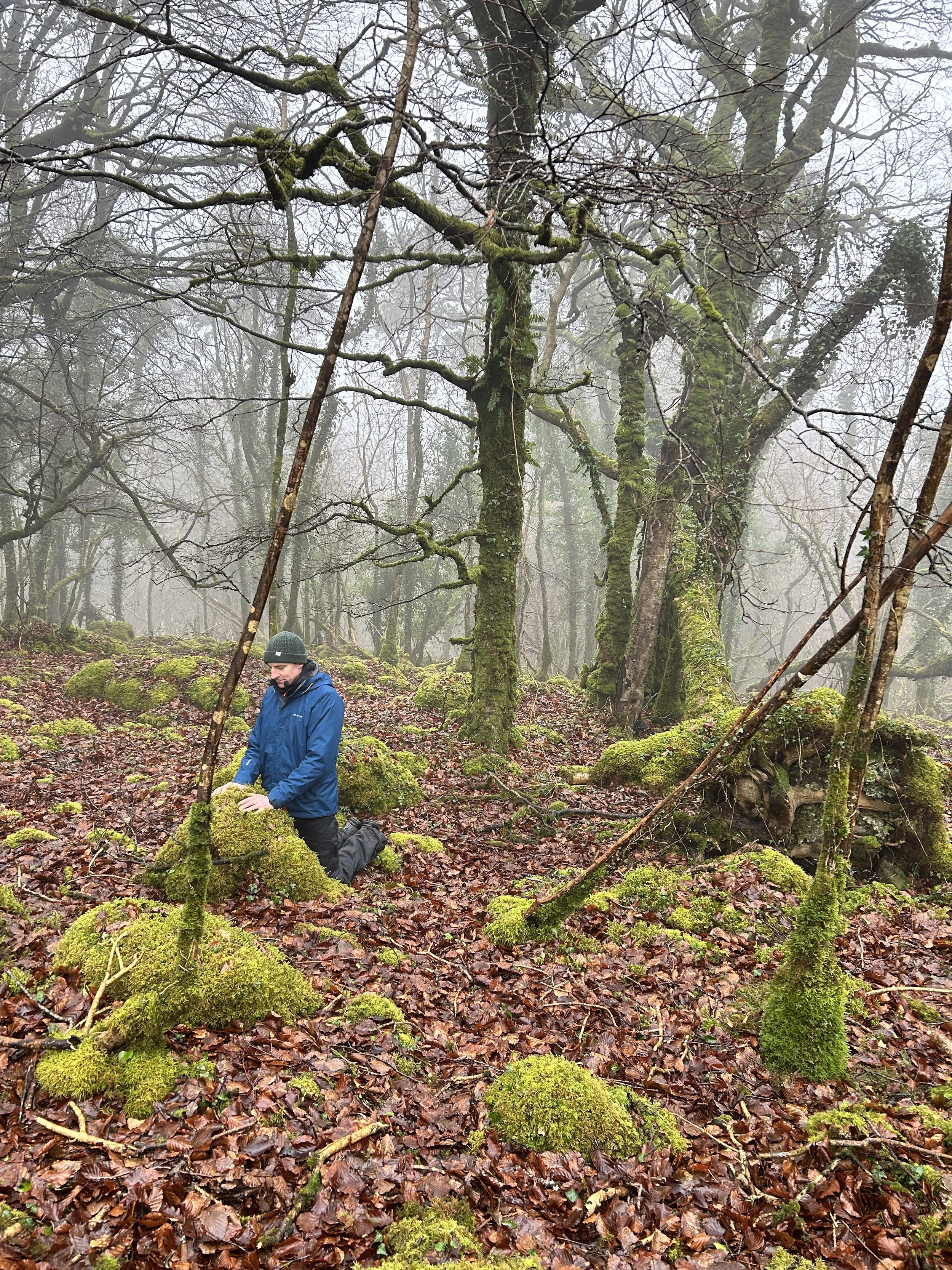 Person in a misty forest kneeling on mossy ground, surrounded by leafless trees and branches.