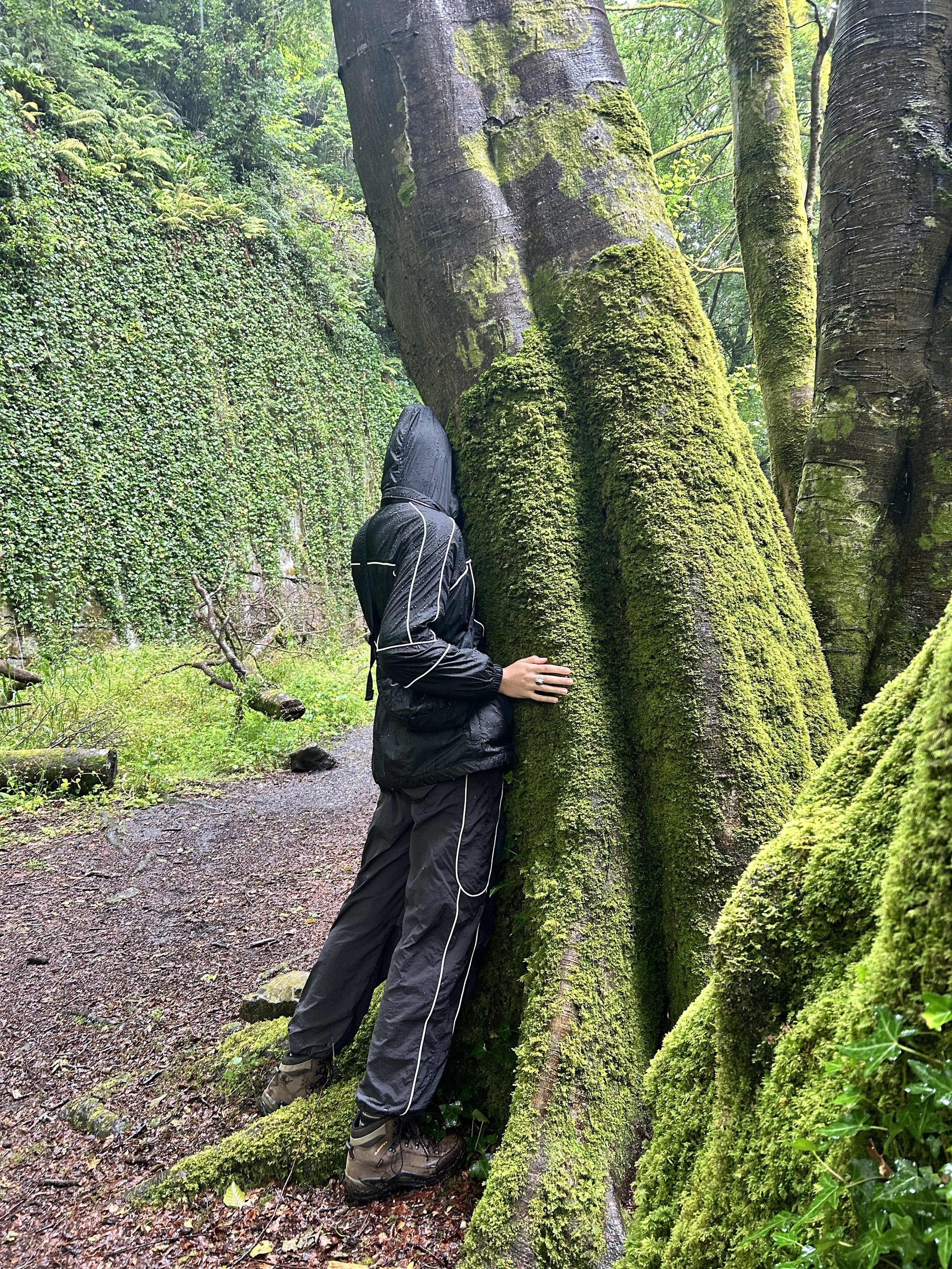Person in black hooded jacket hugging a large moss-covered tree in a lush, green forest with a dirt path.