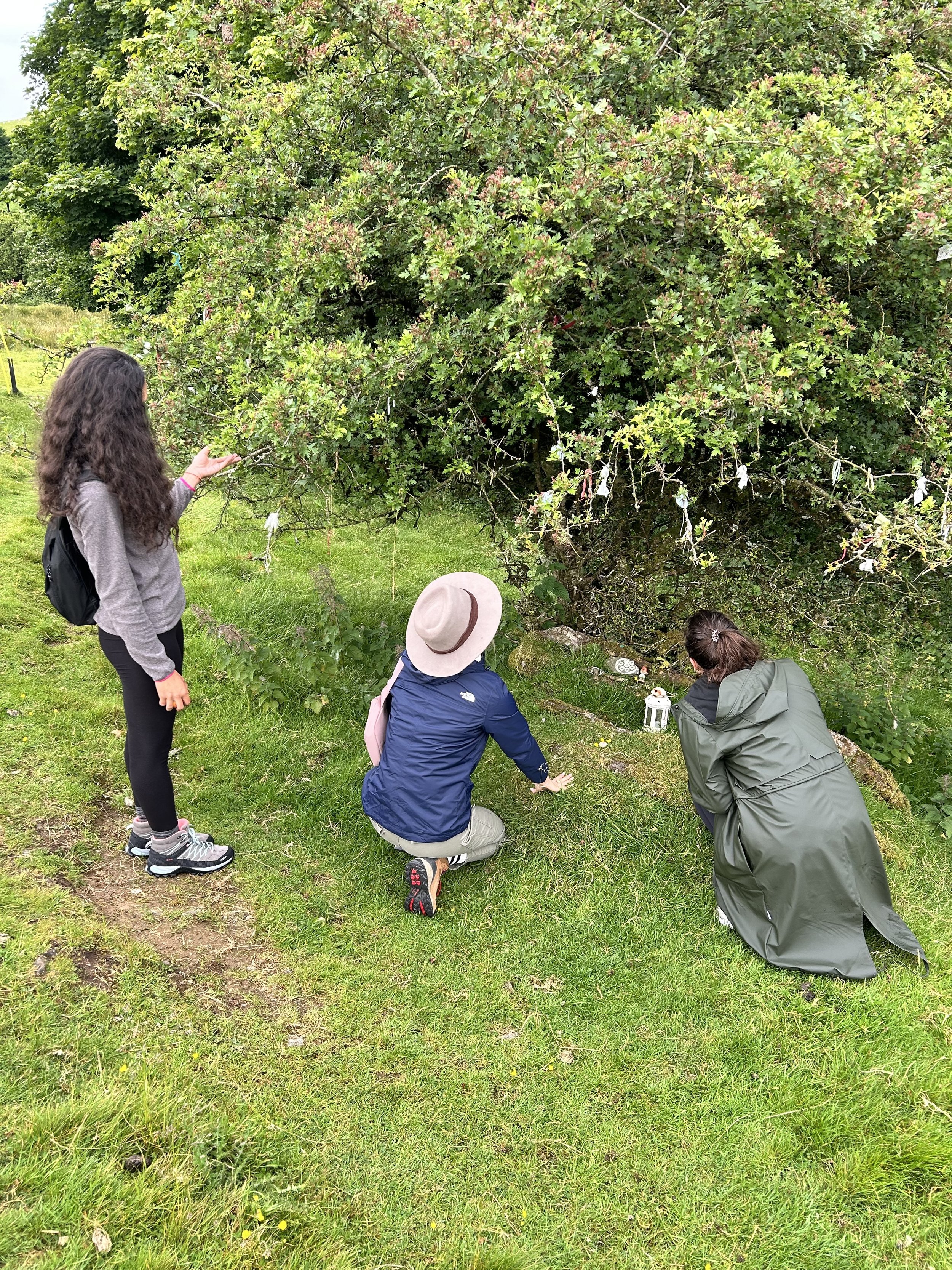 Three people outdoors near a tree with green foliage. Two are kneeling, one is standing, all looking at the tree. The area is grassy and lush.
