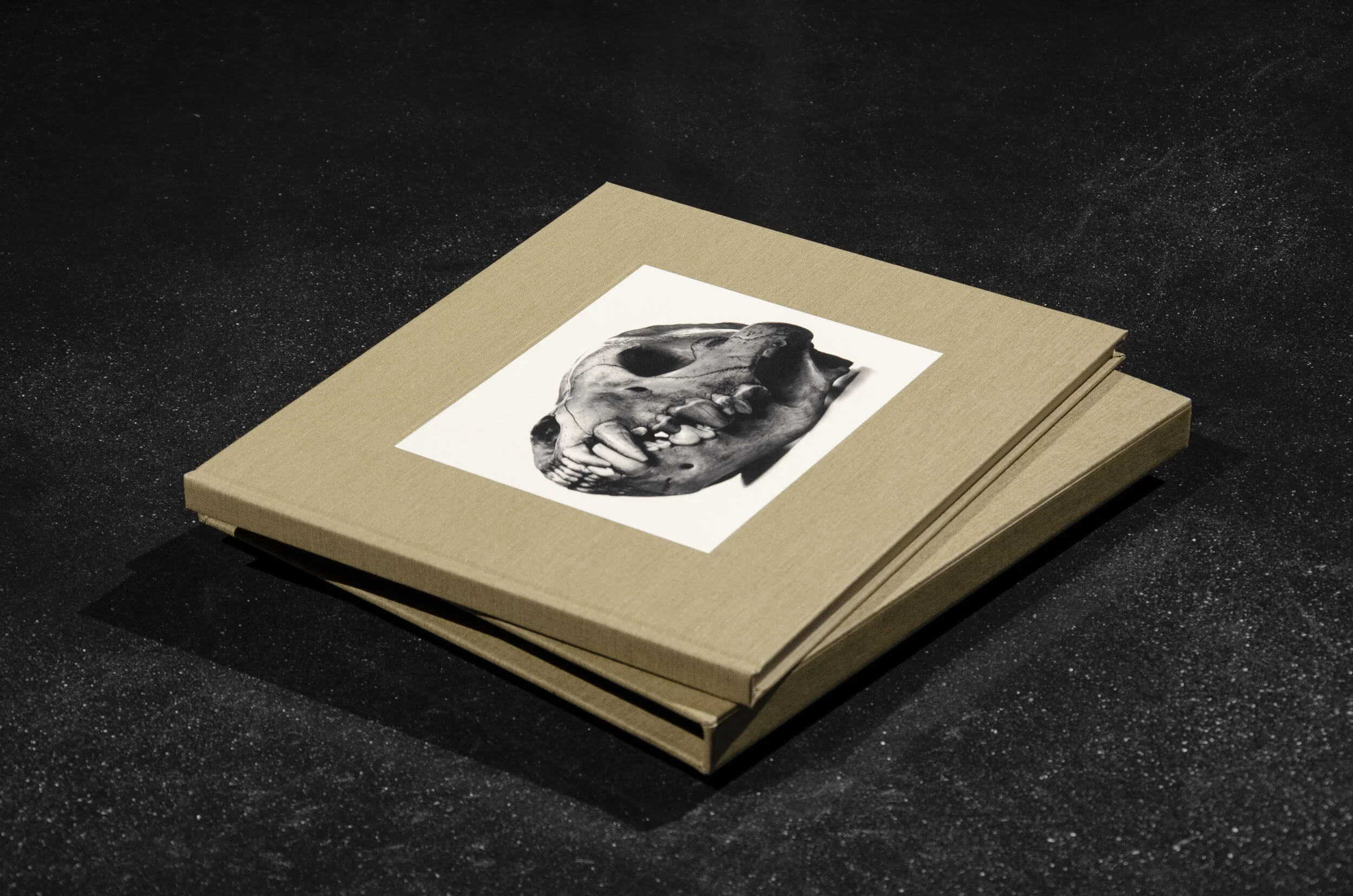 BOOK - Irving Penn, Cranium Architecture, Special Edition 