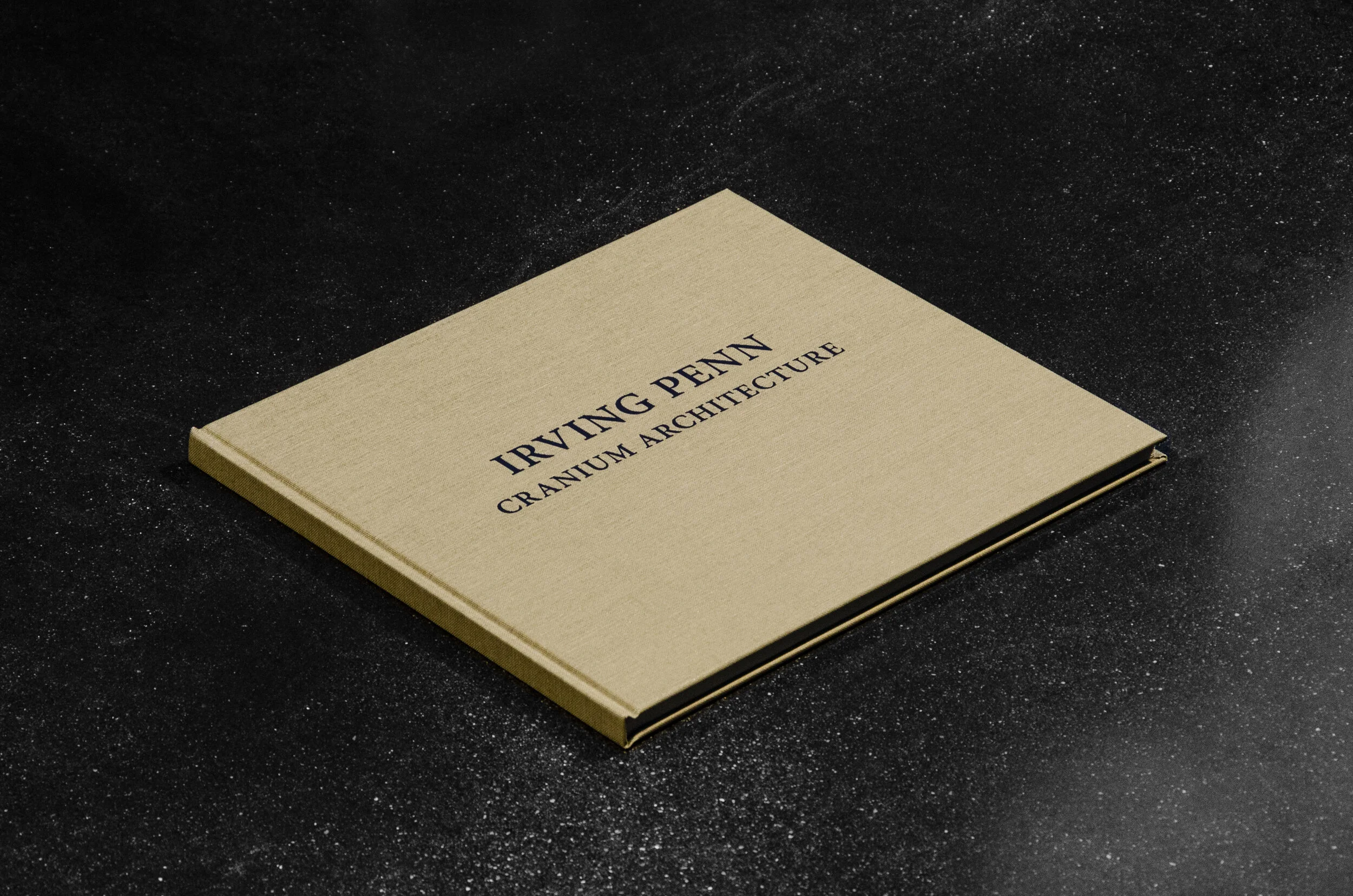 BOOK - Irving Penn, Cranium Architecture — Hamiltons Gallery Shop