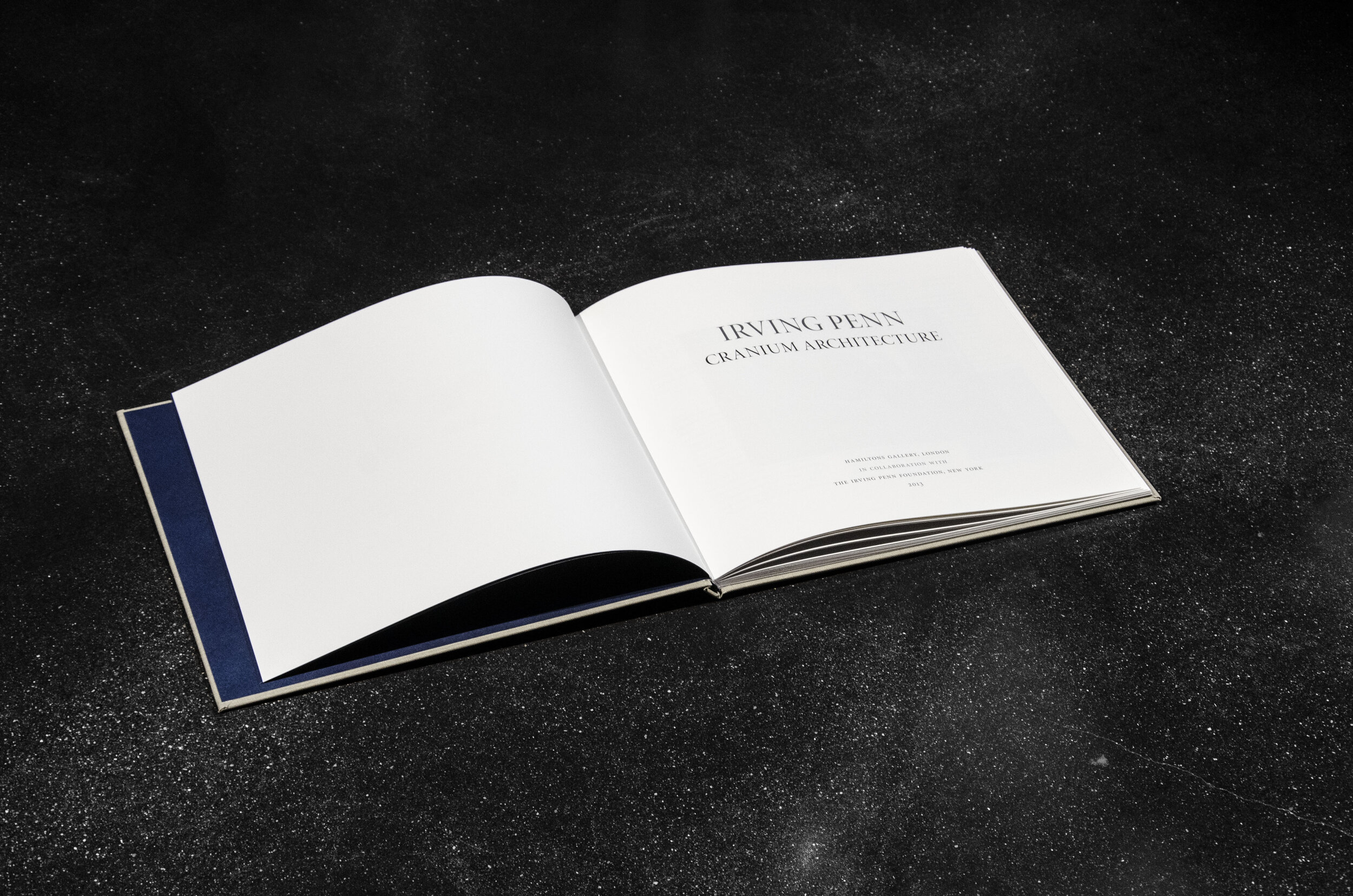 BOOK - Irving Penn, Cranium Architecture — Hamiltons Gallery Shop