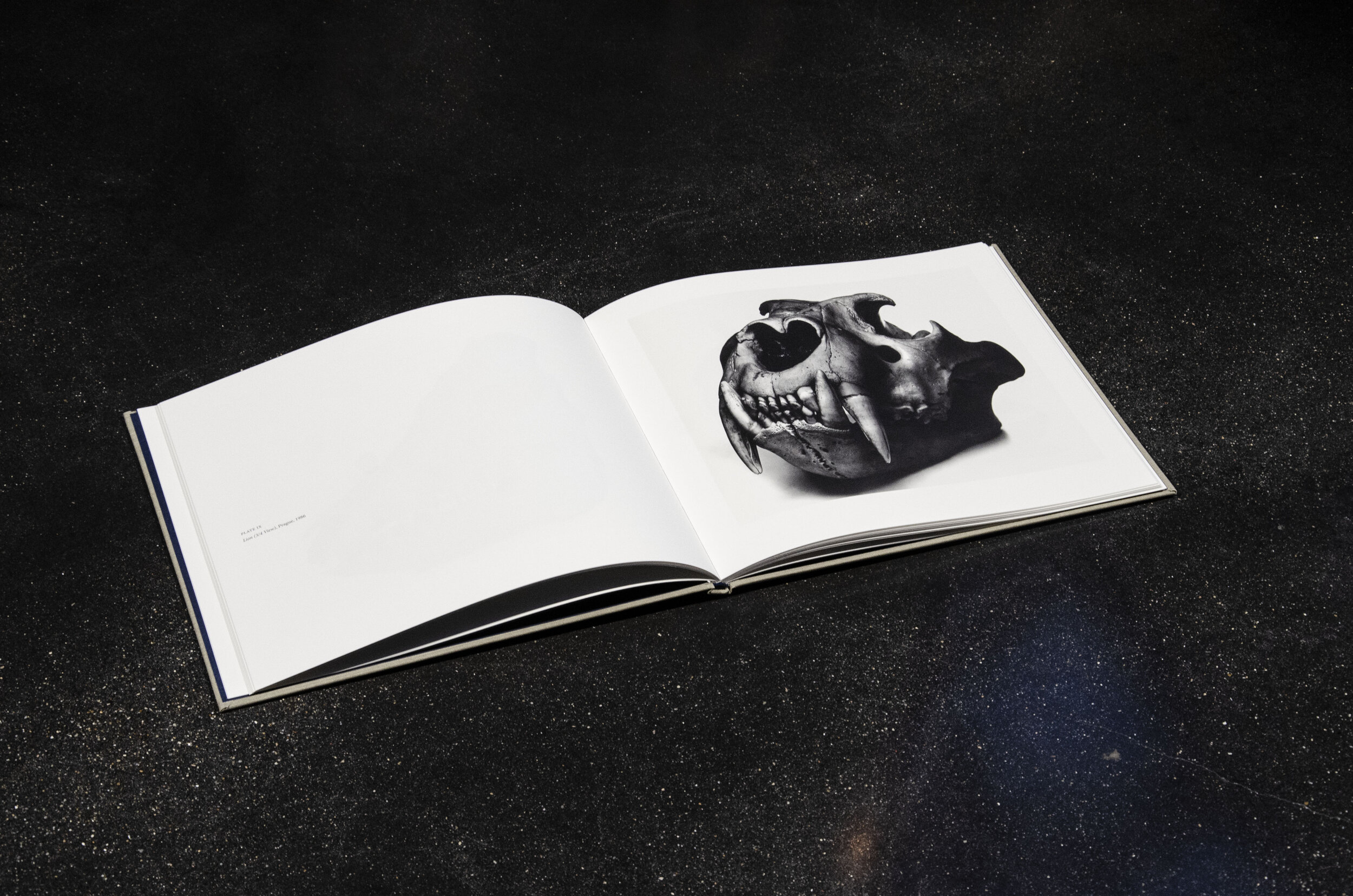 Penn Cranium spread 2.jpg