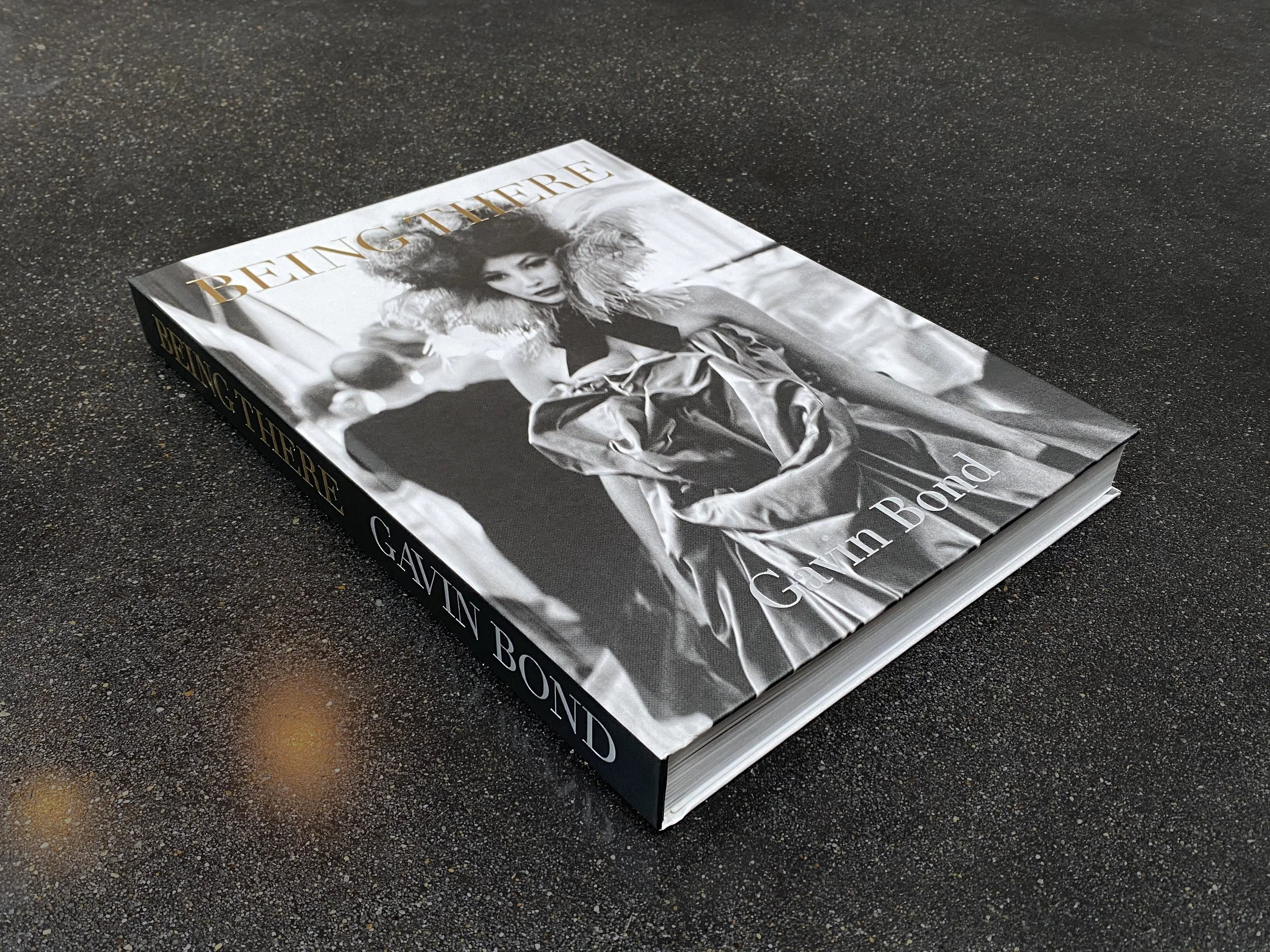 BOOK - Gavin Bond: Being There — Hamiltons Gallery Shop