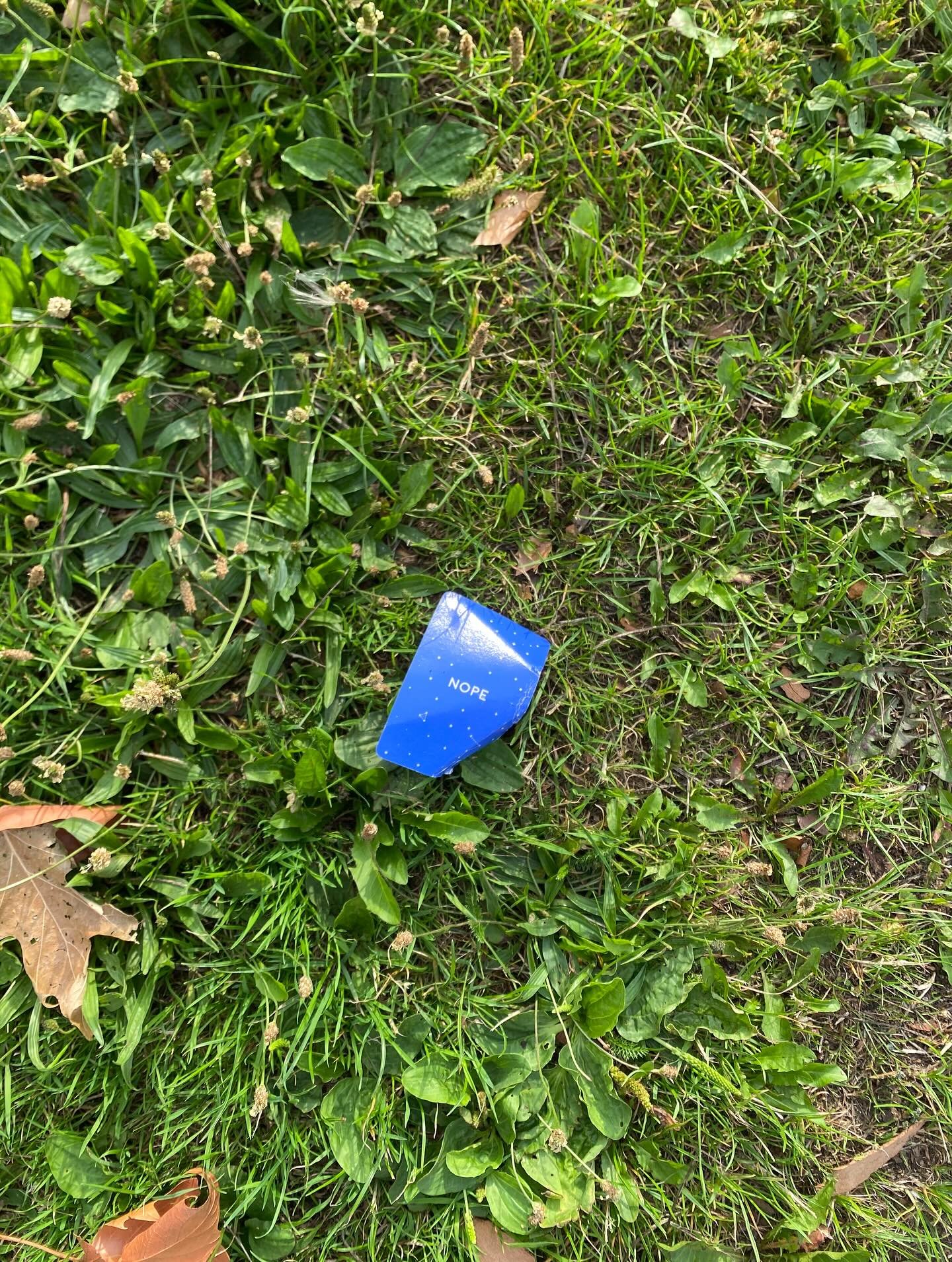 Some snaps from summer so far… I’m thinking about how this time of year can be disjointed for us therapists. Maybe we take some time off, maybe our clients are away, maybe there is extra childcare to organise. The routines change and bec