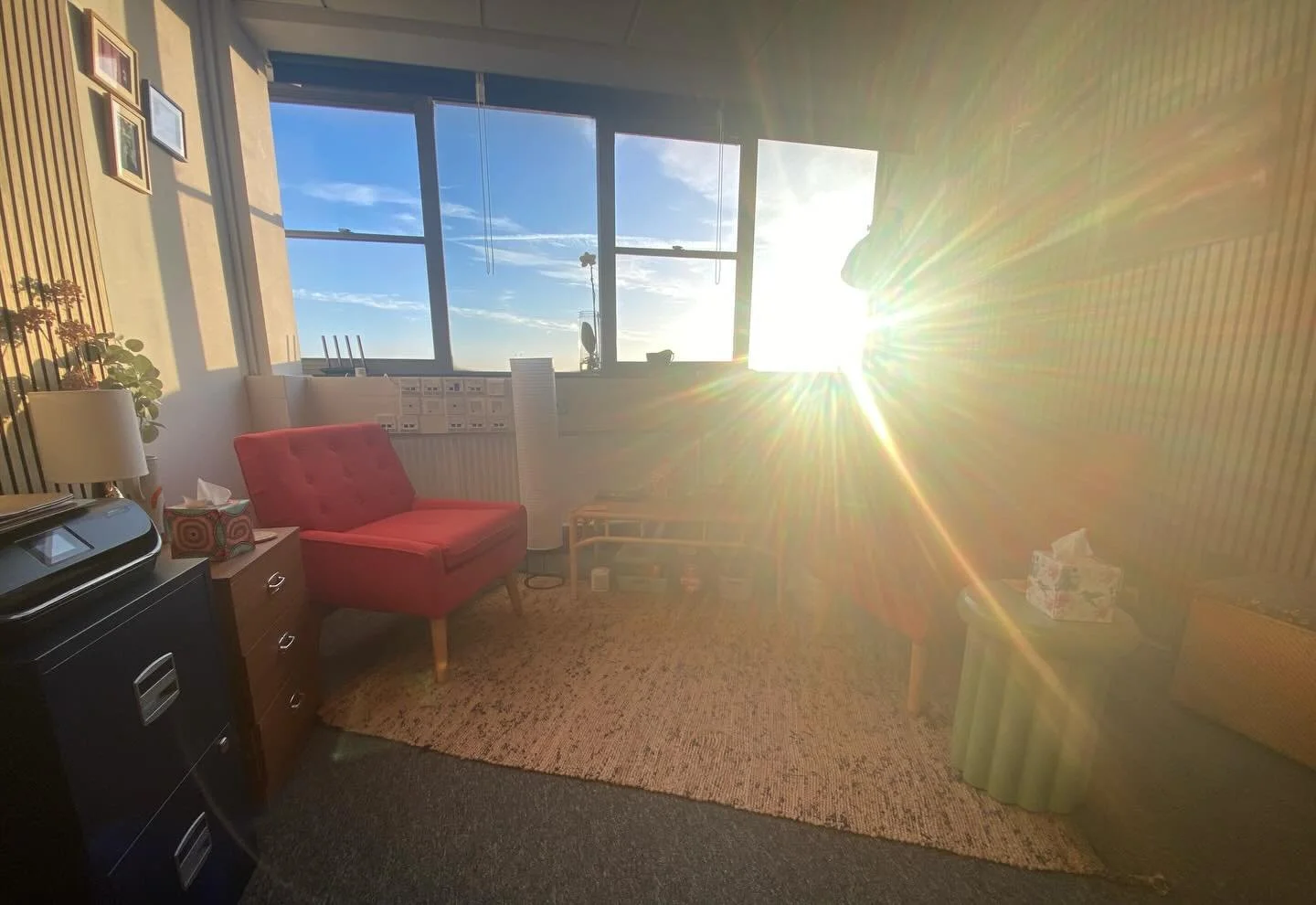 Enjoying the morning winter sunshine in the office ❄️🌞