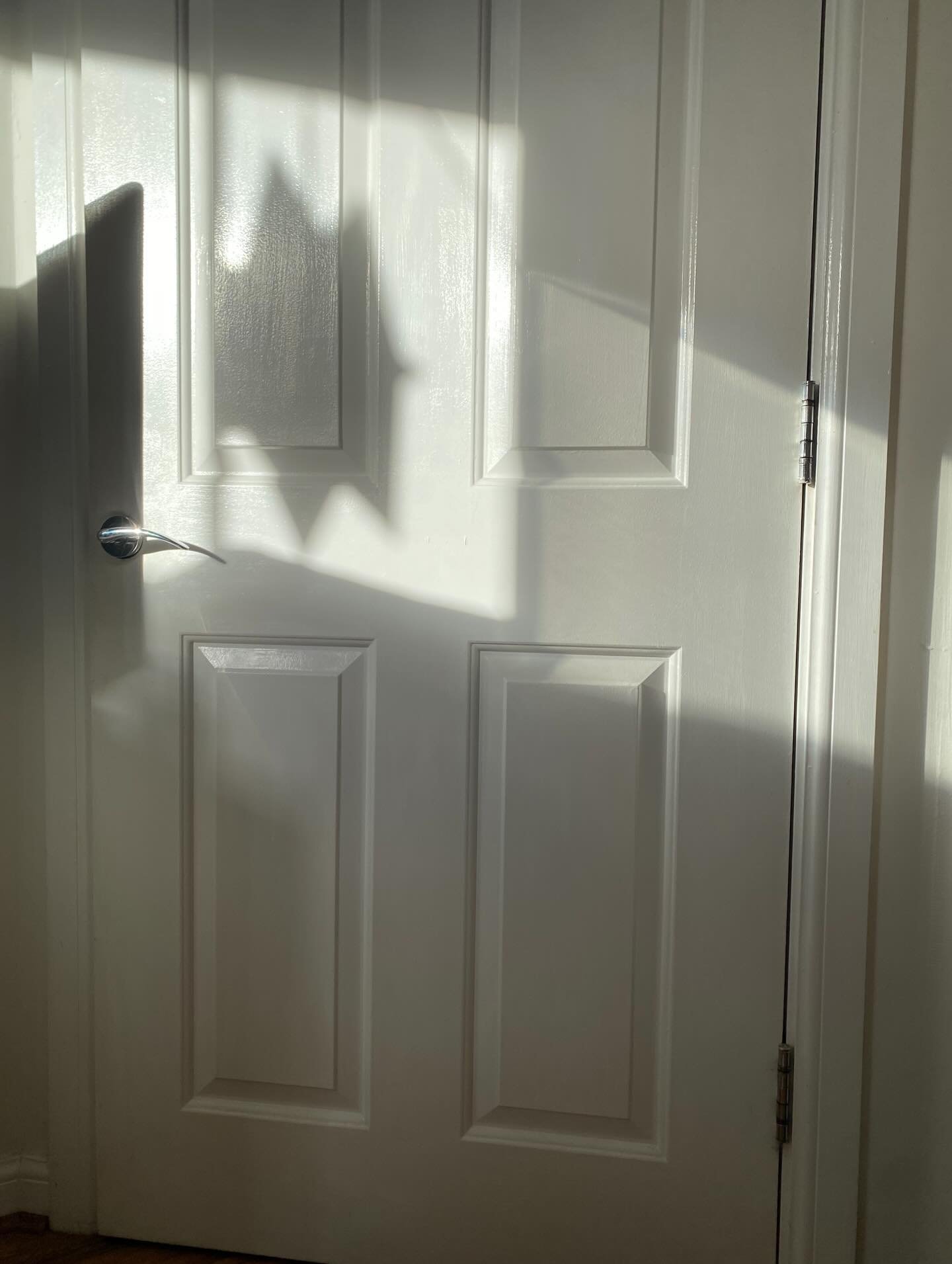 Taking the start of 2026 slowly. Re-membering that we are all connected with all beings and things. The universe is a community of subjects, not a collection of objects.

Many things happened in 2025- my practice grew back to capacity following my br