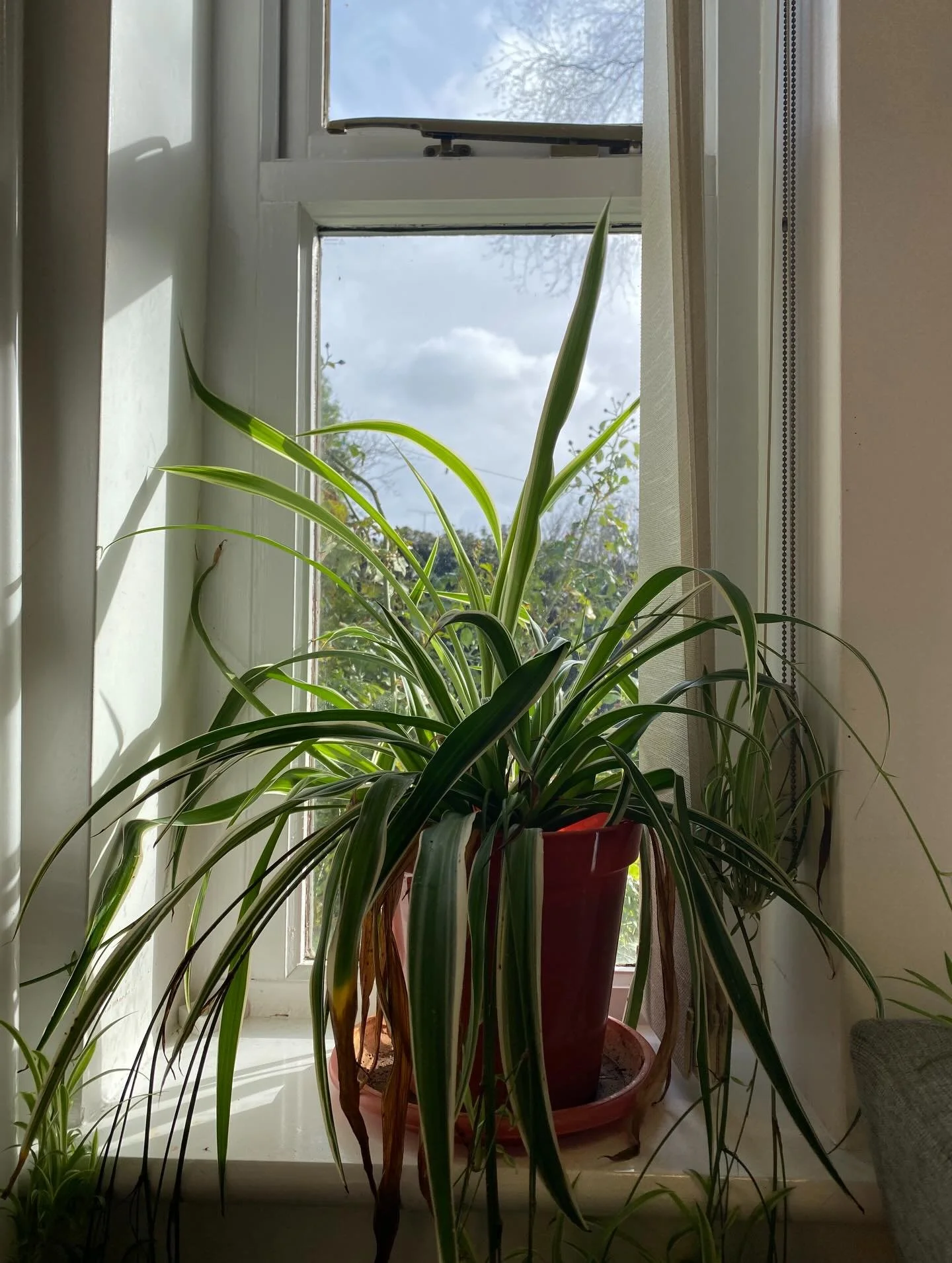 We had an intimate group of staff for yesterday&rsquo;s training in Trauma and Addiction: Creating your Emotional Regulation Toolkit at @next_chapter123 
There were lively discussions and thoughtful reflections on the impacts of trauma on attachment,