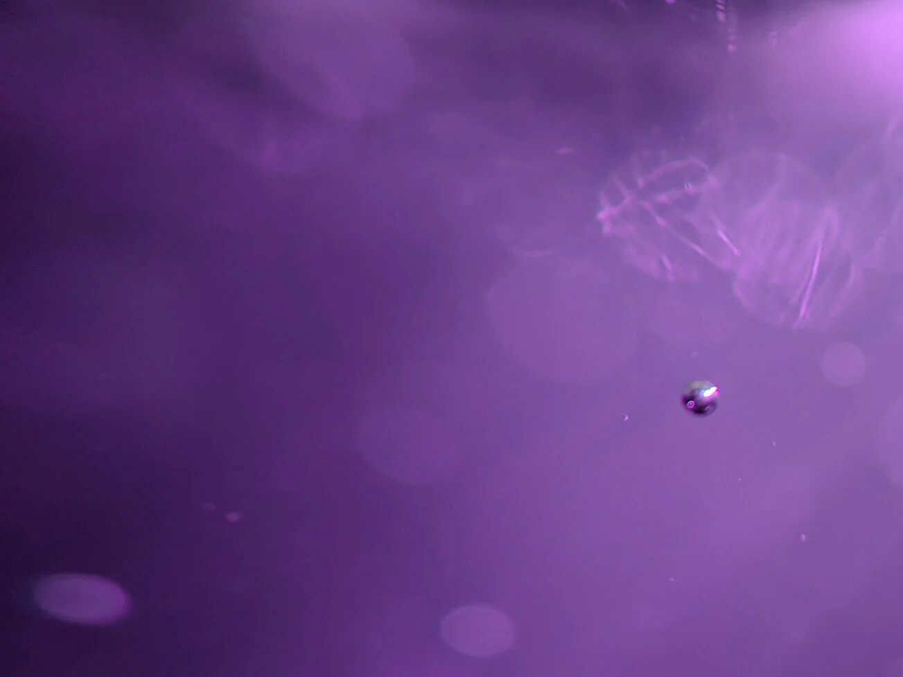 bubbles-purple.jpg
