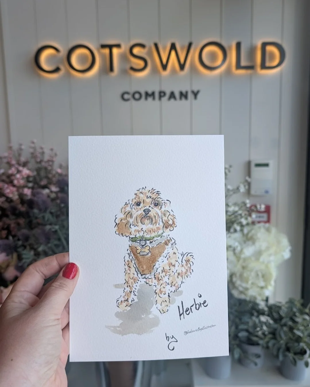 This weekend I was invited to paint pet portraits @cotswoldco to celebrate their new store opening in Chichester!

These are a few of my favourite portraits that I captured over the 2 day event on Friday and Saturday.

It was part of a Housewarming e