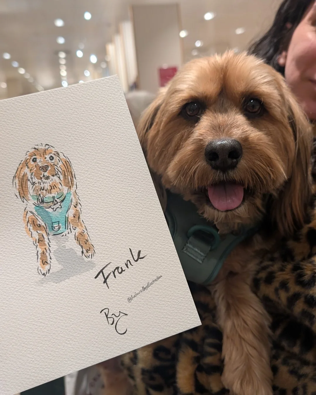 On Saturday I was invited to paint live pet portraits @johnlewis in Solihull to celebrate @crufts

I've been painting live portraits for John Lewis &amp; Partners since 2024 and I love bringing joy to their customers with something unexpected and uni