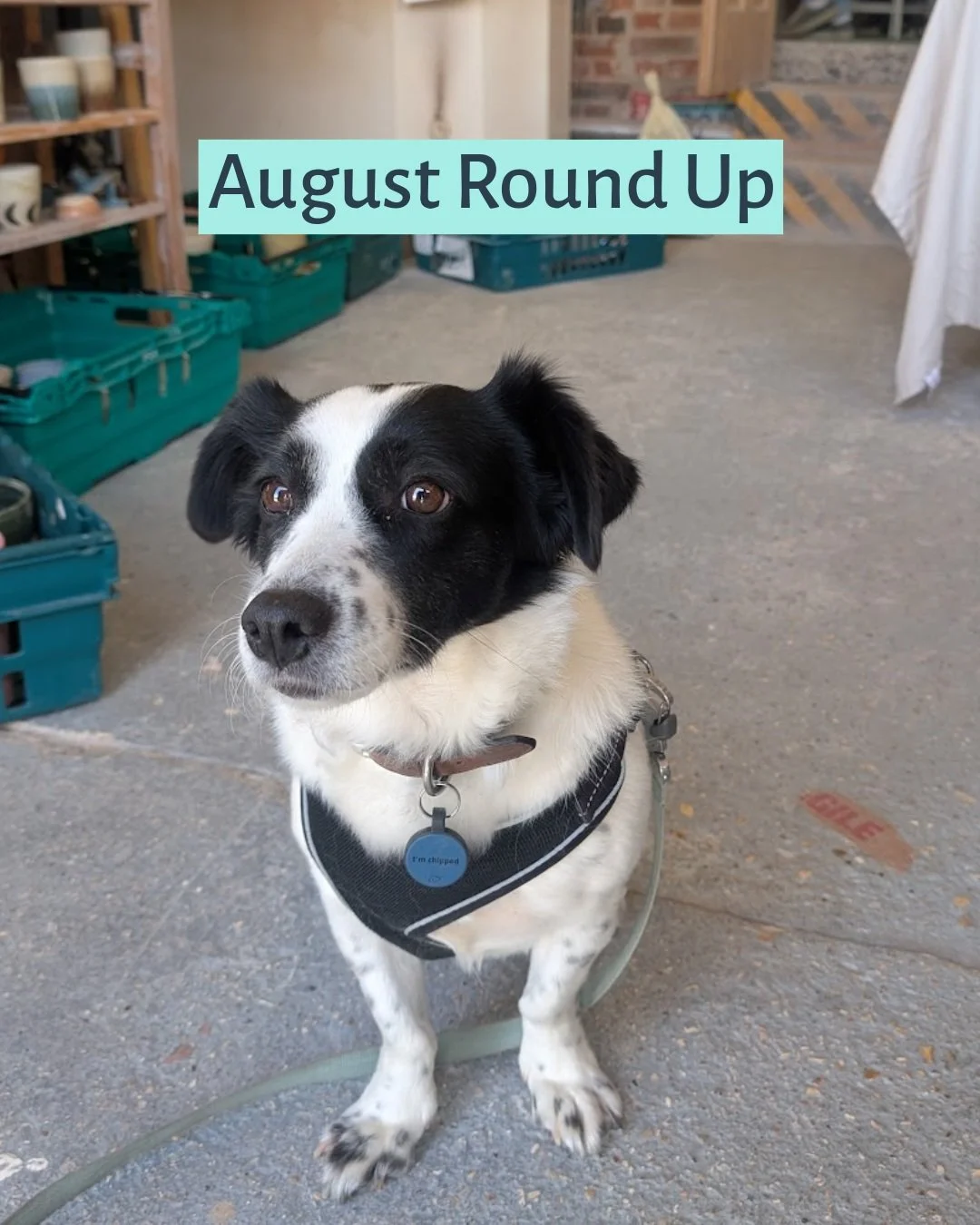 A round up of what I got up to in August!

I've got a very busy September with lots of weddings, live events, networking and workshops, so an August full of good company, good food and lots of sunshine was just what I needed.

What did you get up to 