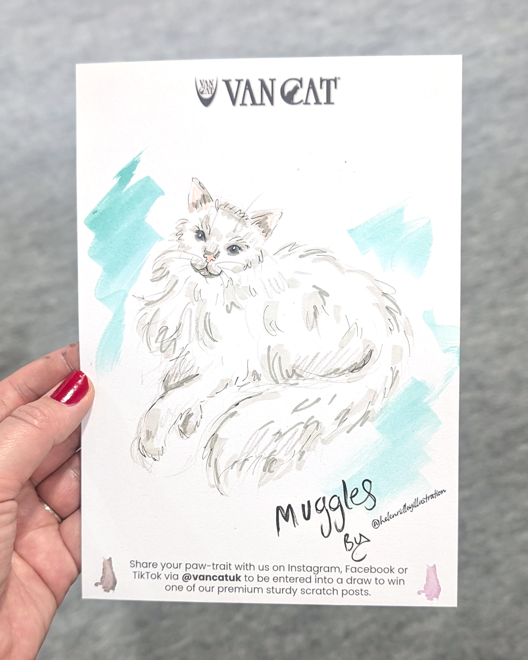  Illustrated cat portrait of a white fluffy cat with a blue background. 