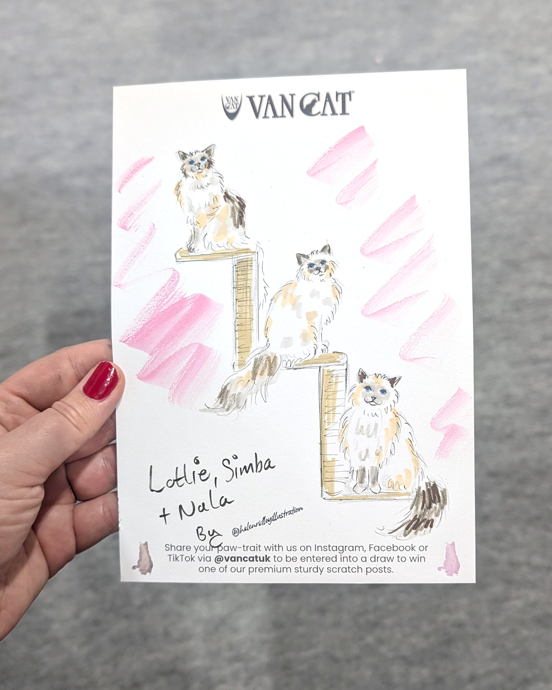  Collection of 3 illustrated cats on a set of cat stairs. The names read Lottie, Simba, Nala. 