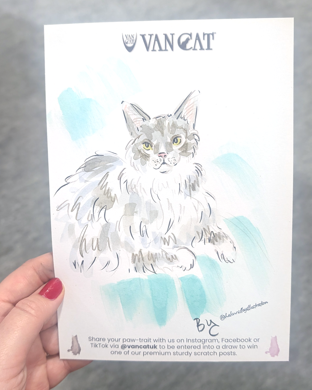  A grey and white fluffy cat illustration. The background is blue and the cat is fluffy. 