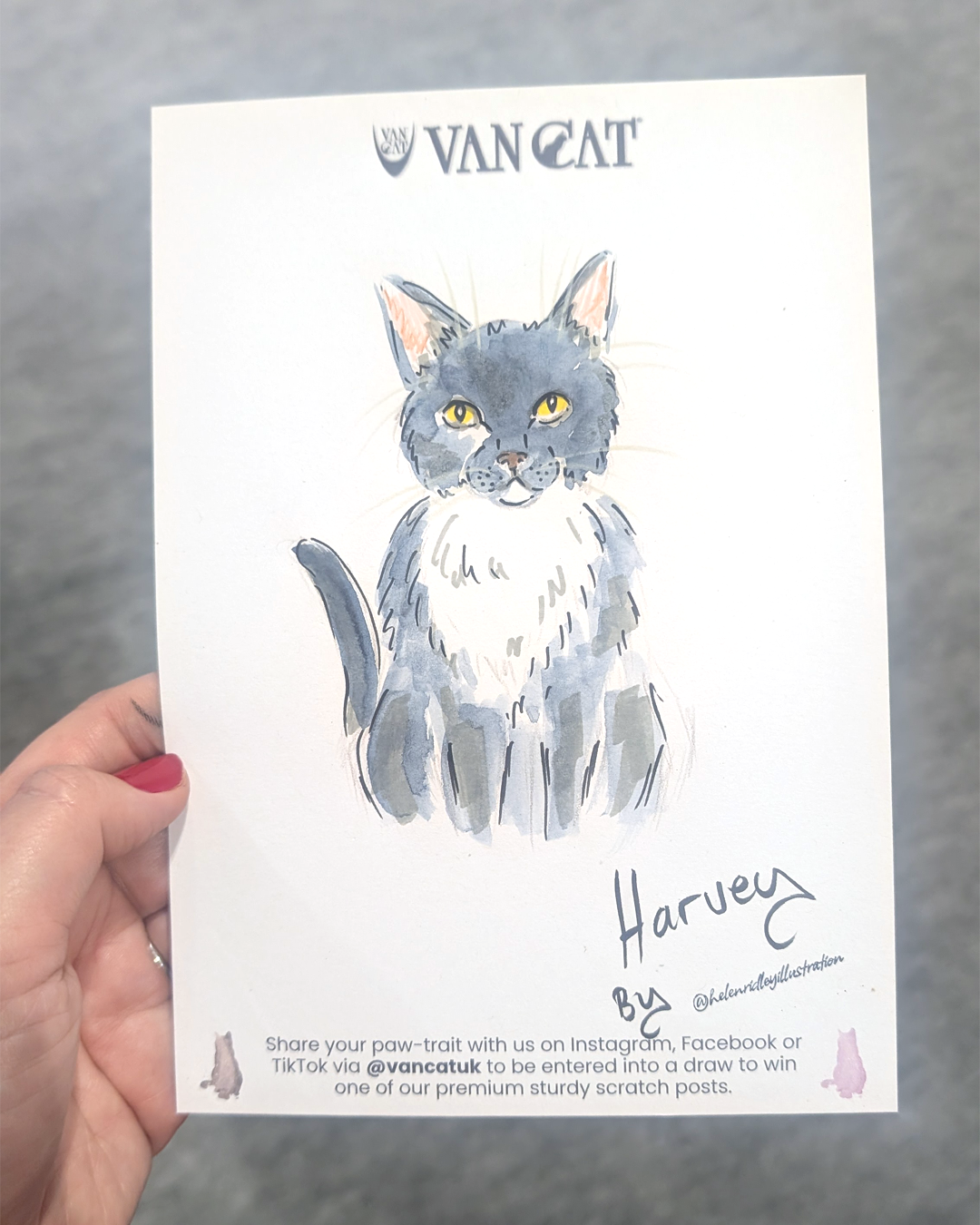  A blue black and white cat portrait. Hand drawn and illustrated by Helen Ridley. 