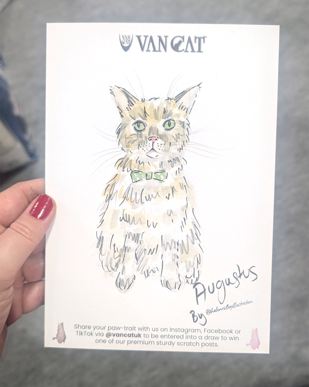 The Cat Show Live 2026_Helen Ridley 2.png