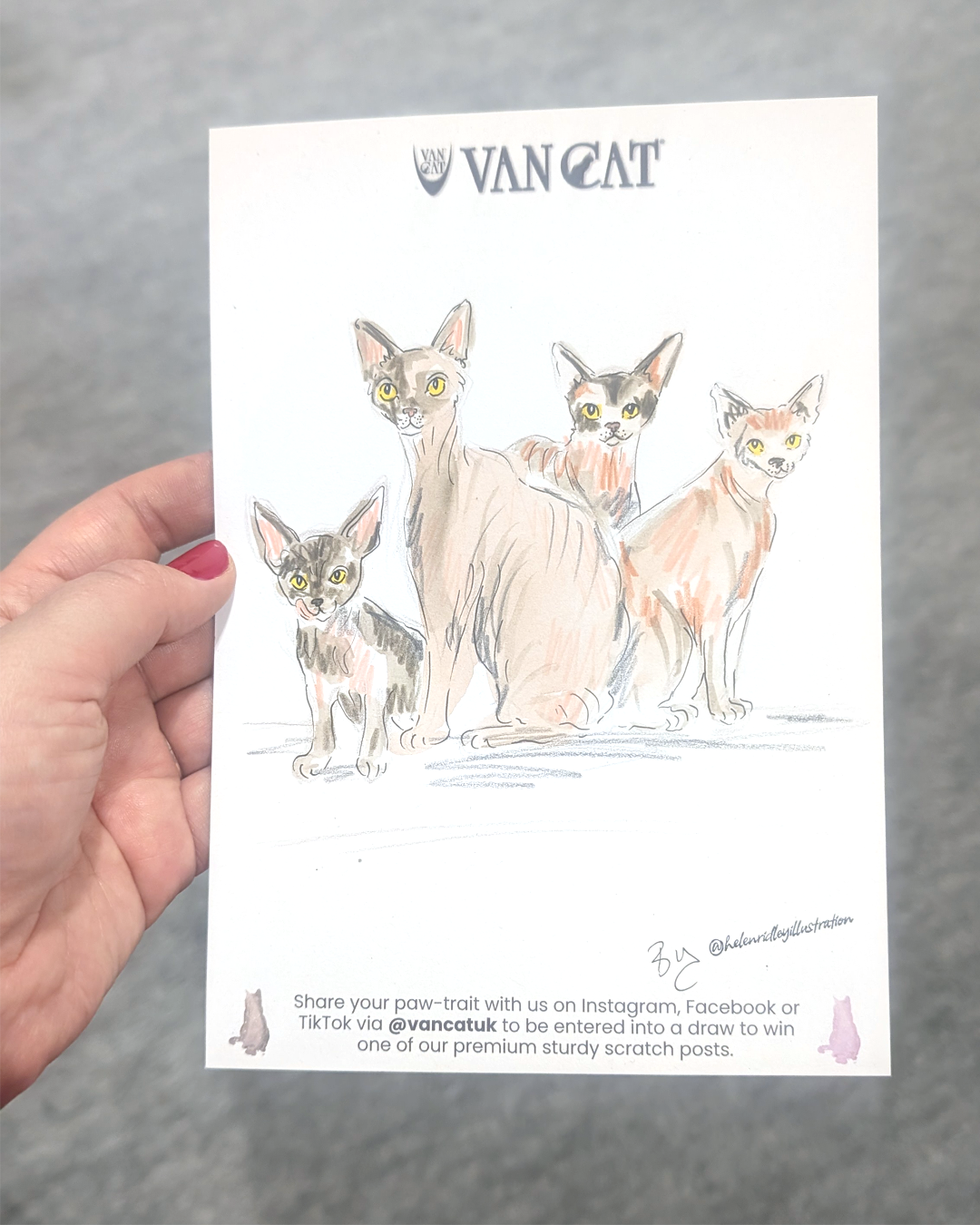 The Cat Show Live 2026_Helen Ridley 8.png