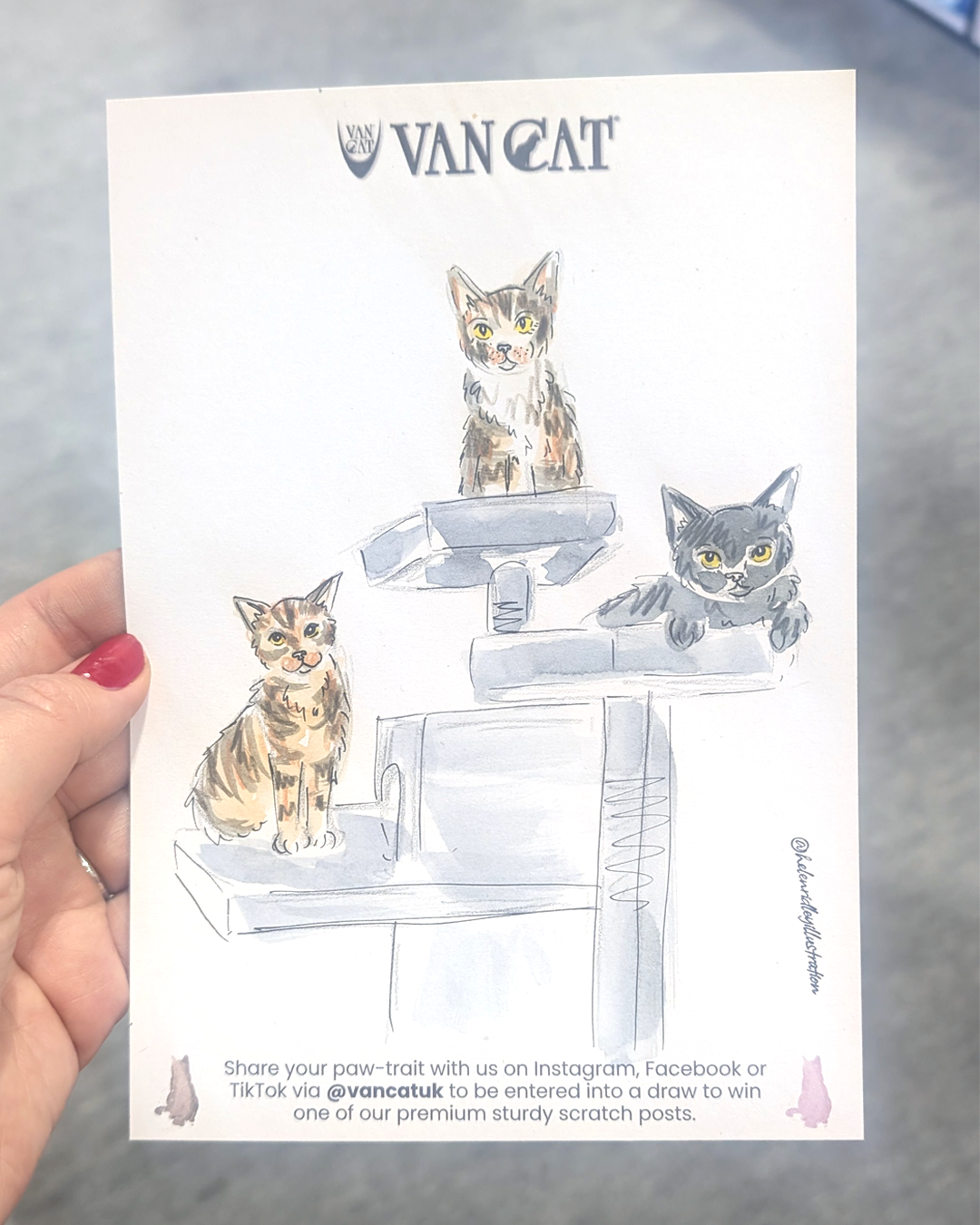 The Cat Show Live 2026_Helen Ridley 5.png