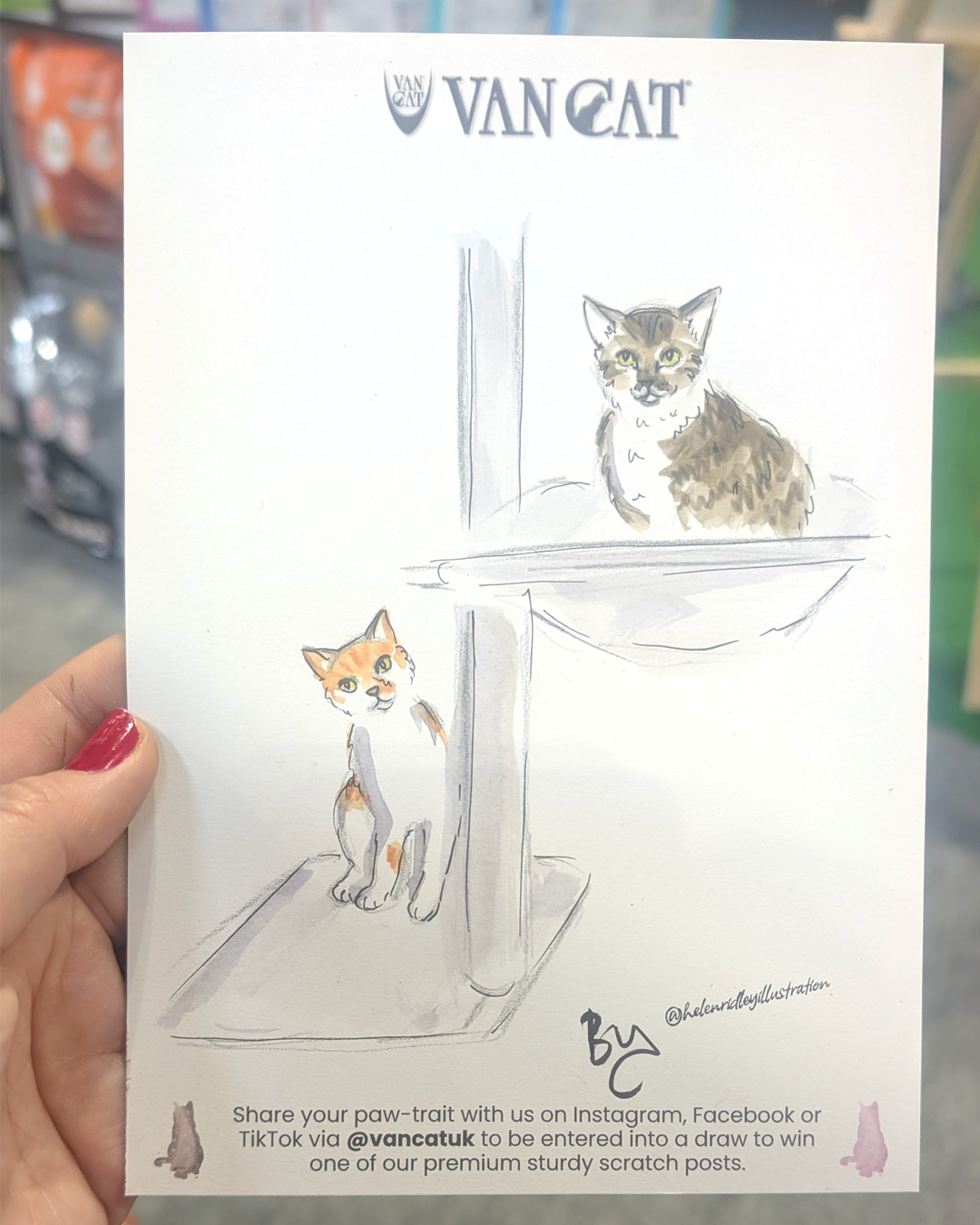 The Cat Show Live 2026_Helen Ridley 9.png