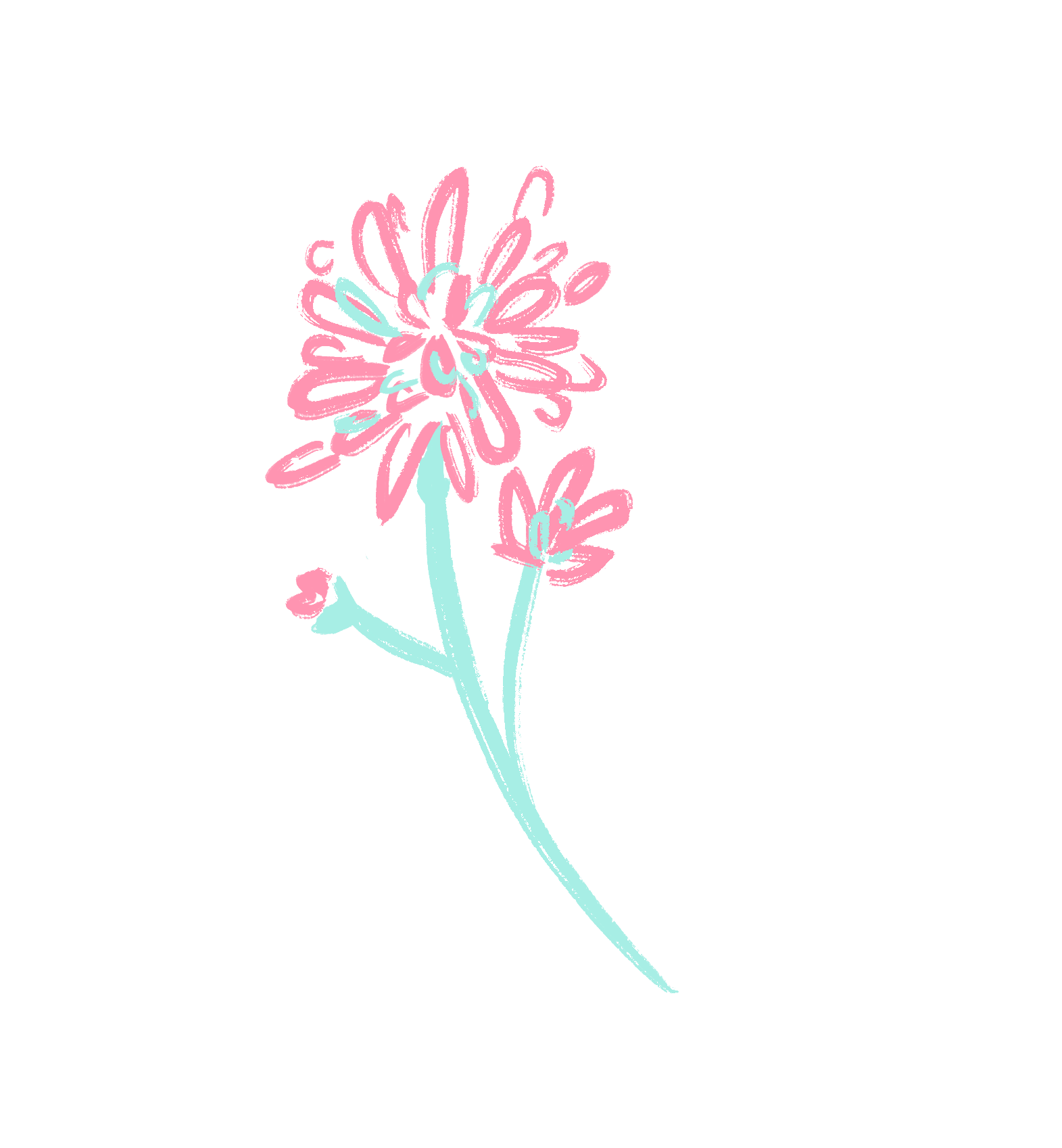 Watercolour illustration of flower
