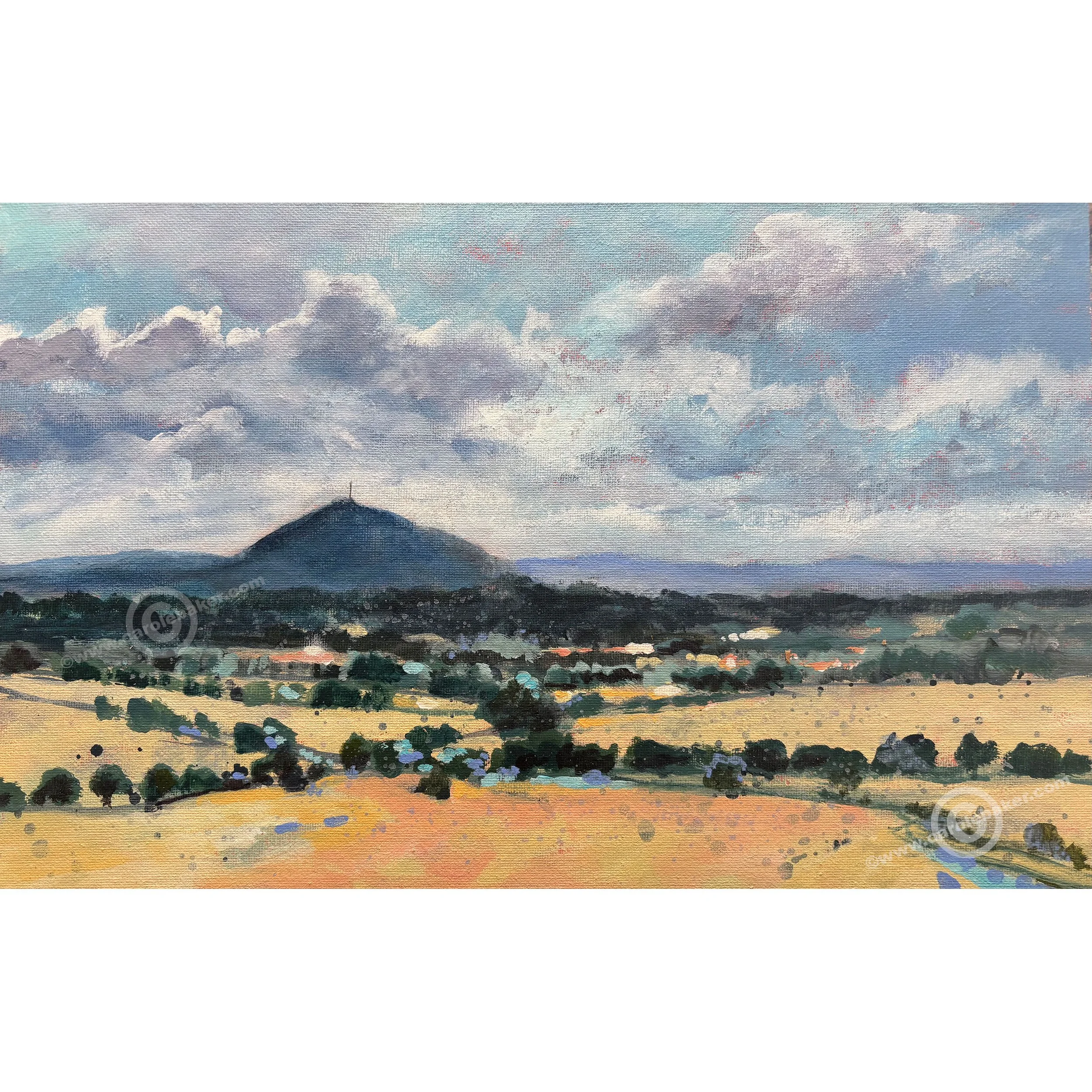 SUMMER-HAZE2.jpg