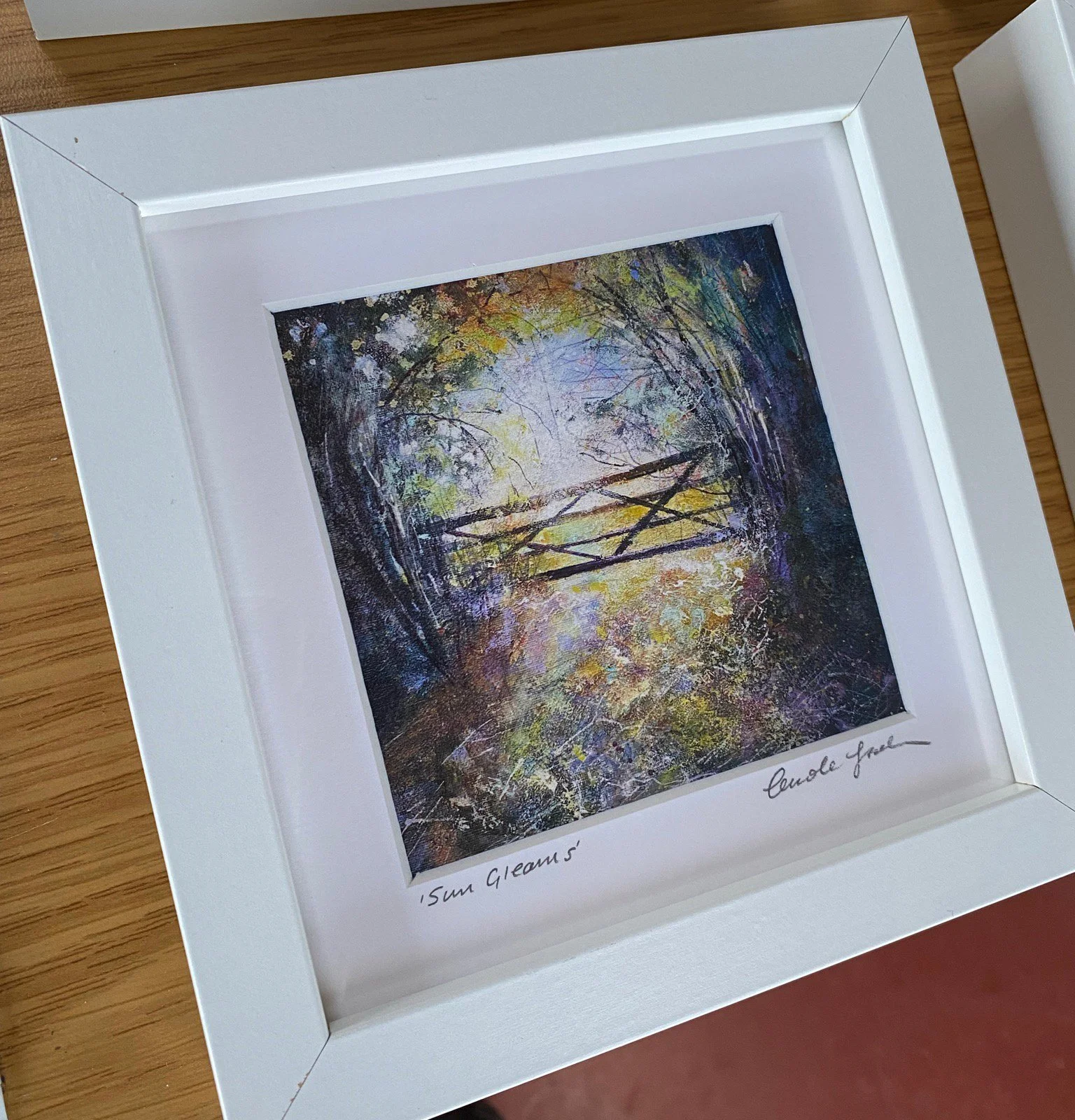 Sun Gleams Carole Baker