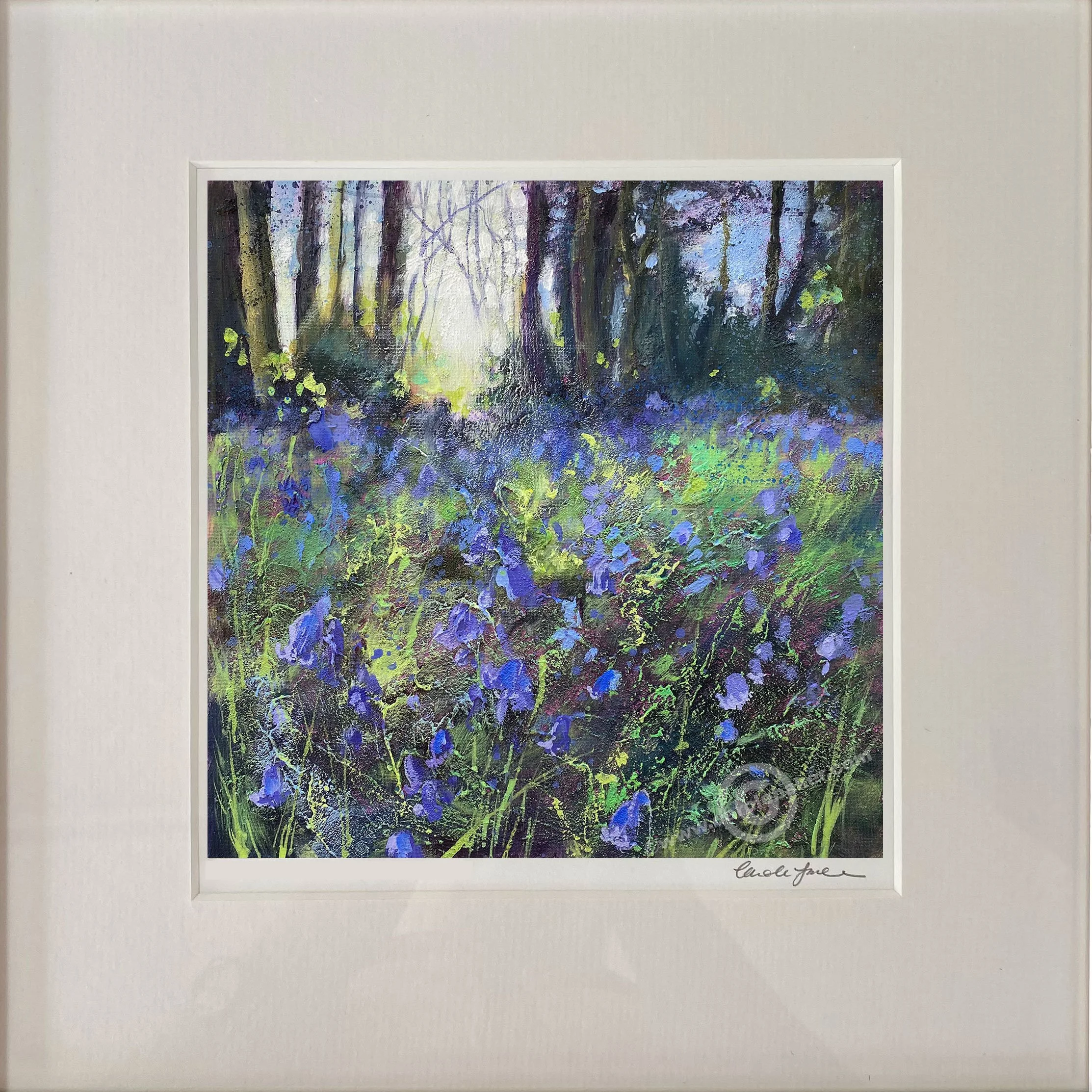 BLUEBELL-COPSE-mounted.jpg