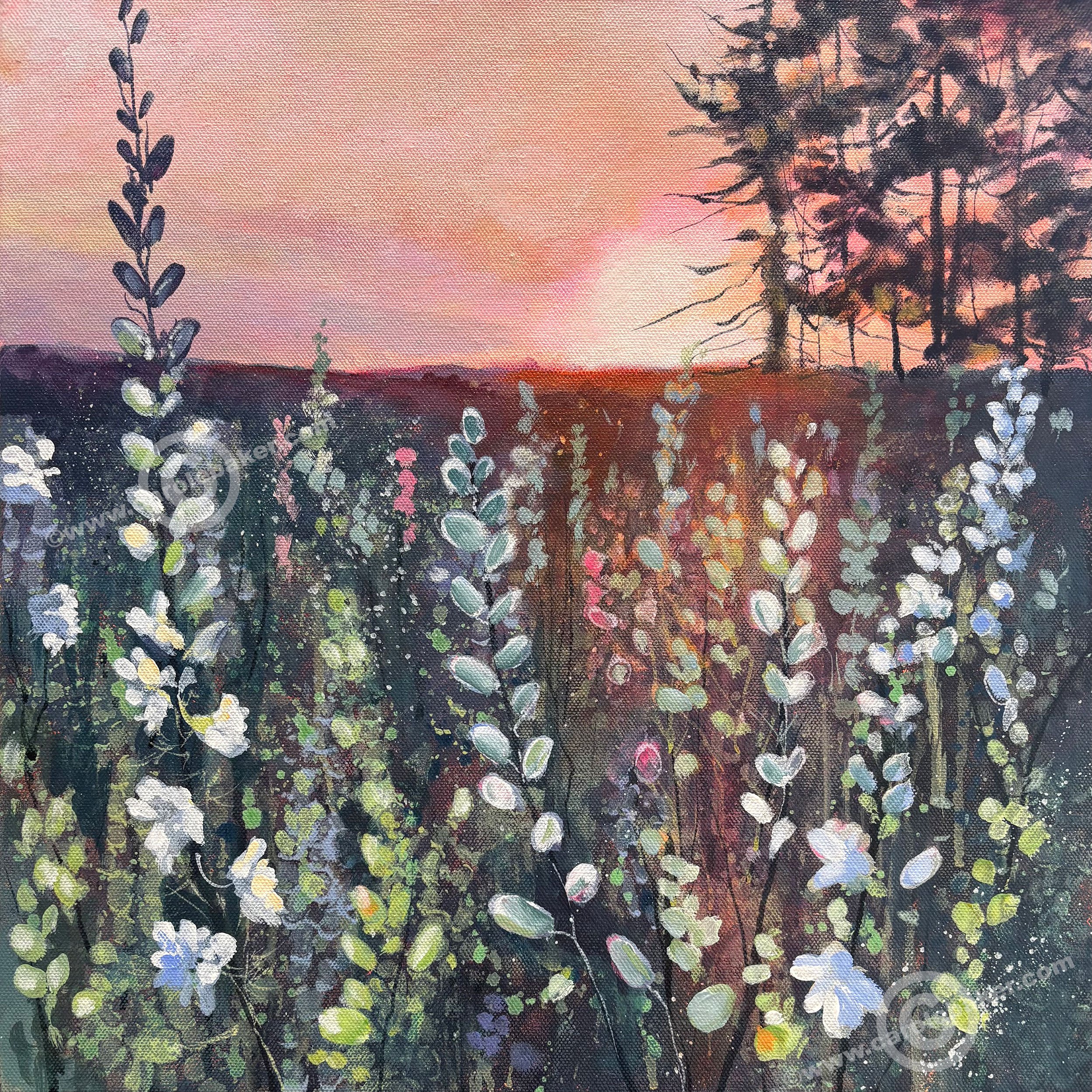 FLORESCENCE-.jpg