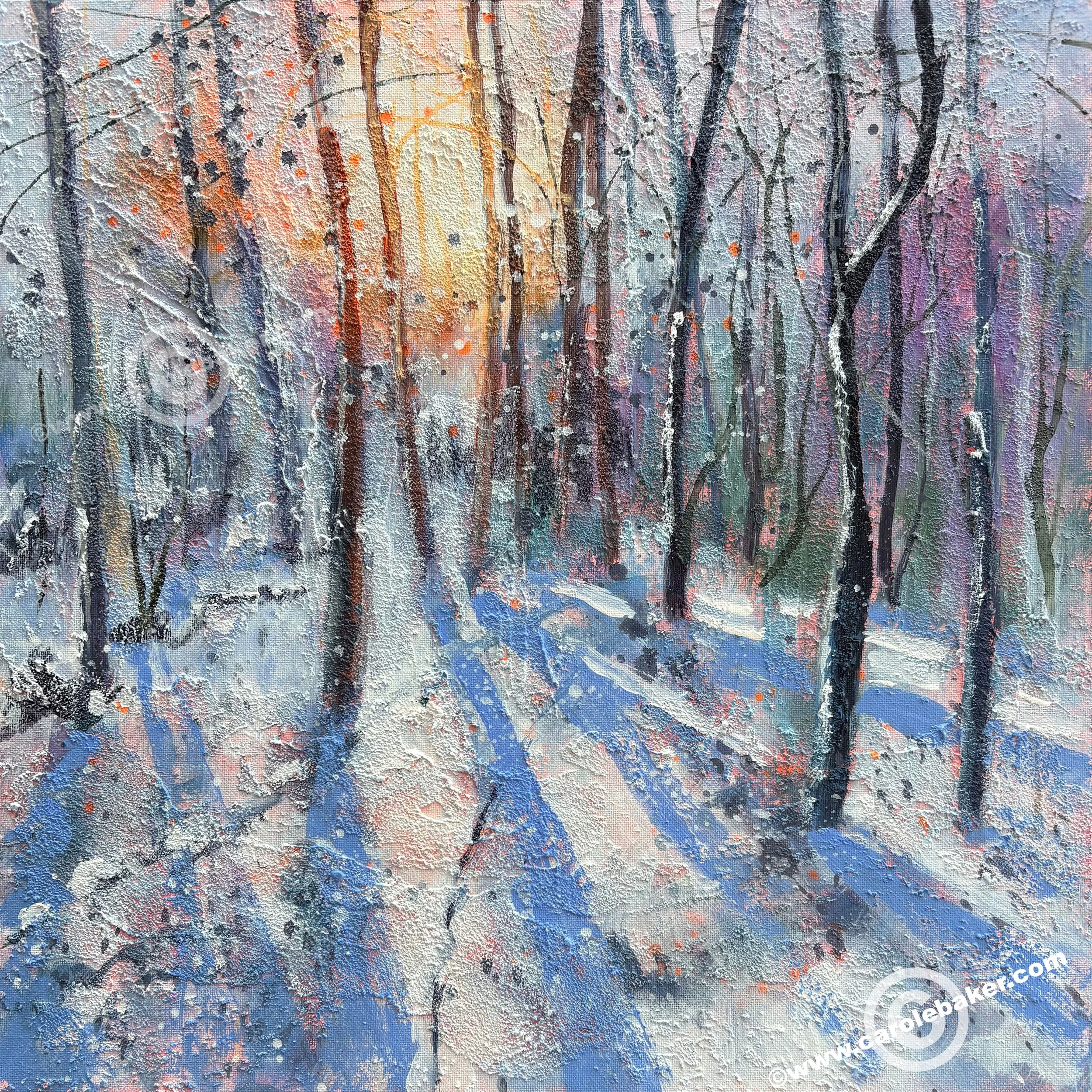 FAIRY-SNOWFALL.jpg