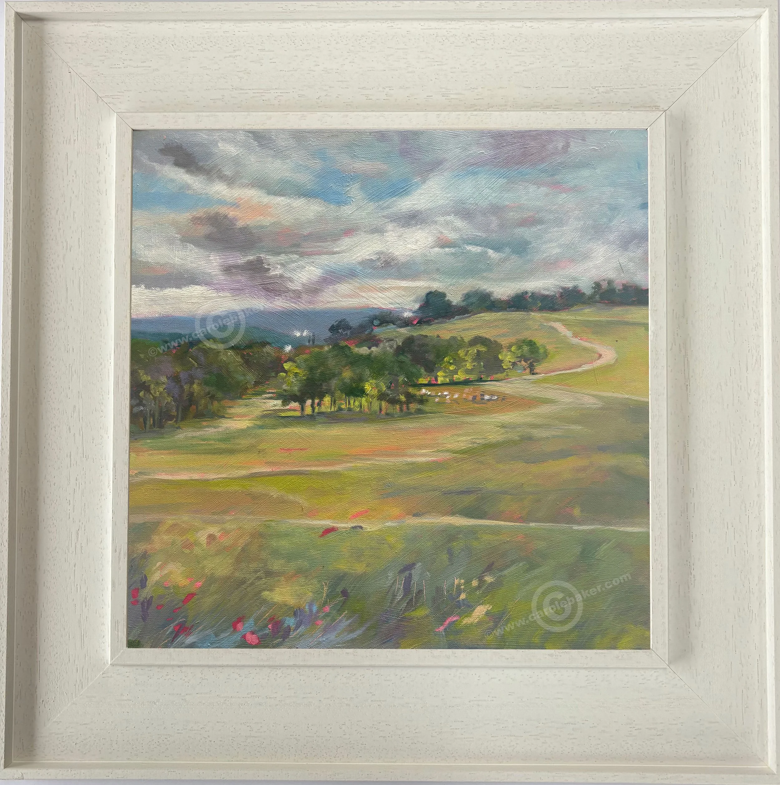 PARK-LIGHT-framed.jpg
