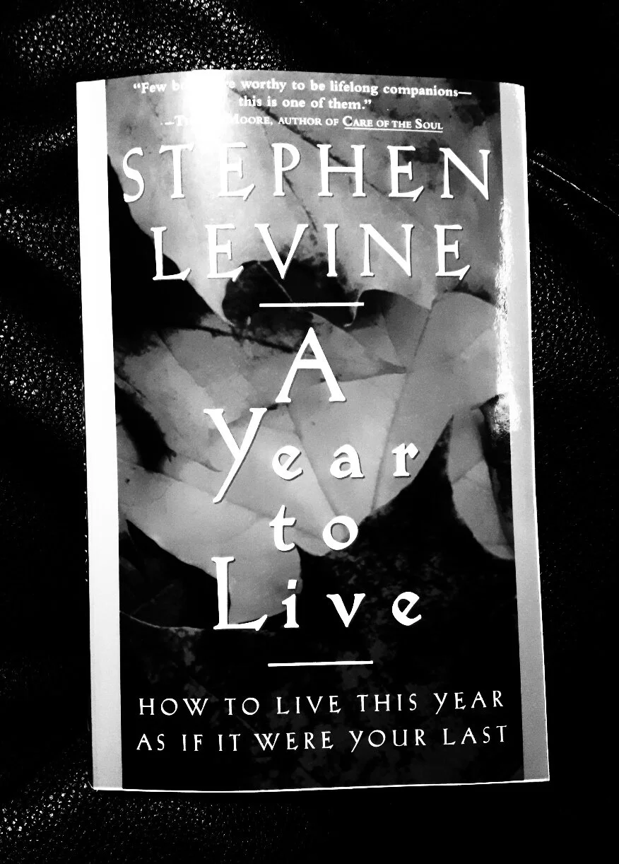 A Year to Live (Stephen Levine)