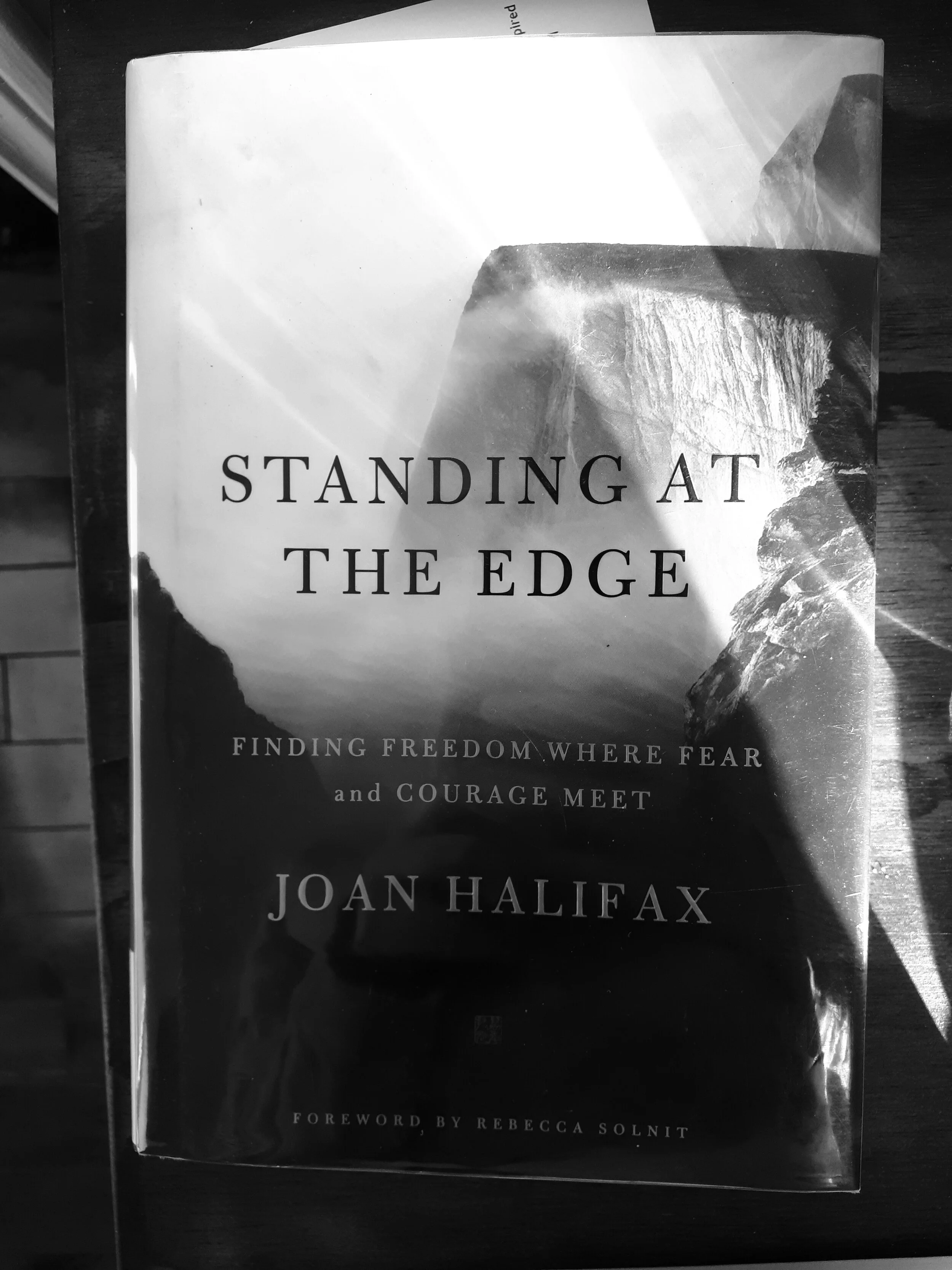 Standing At The Edge (Joan Halifax)