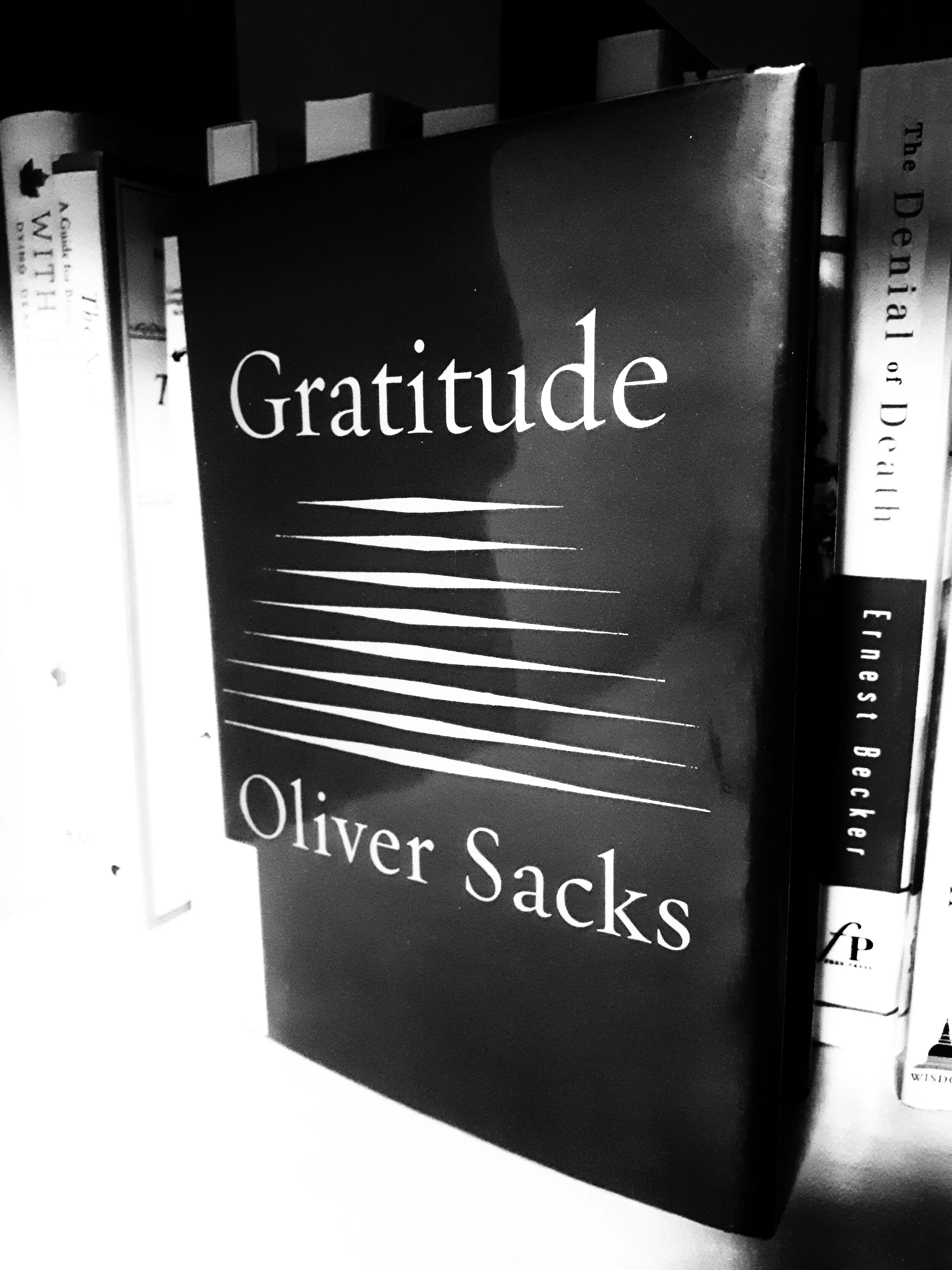 Gratitude (Oliver Sacks)