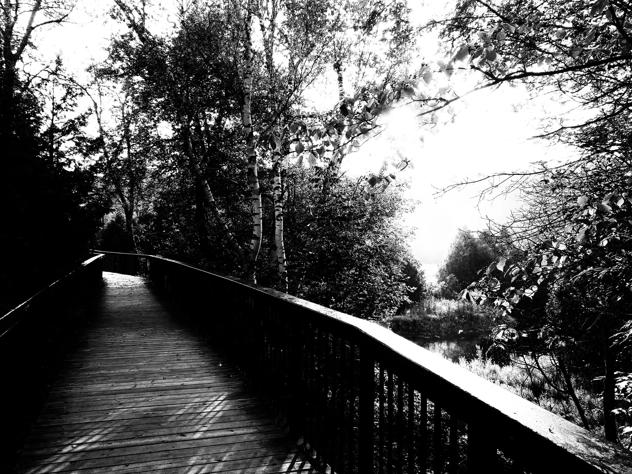 Hoping for More Time