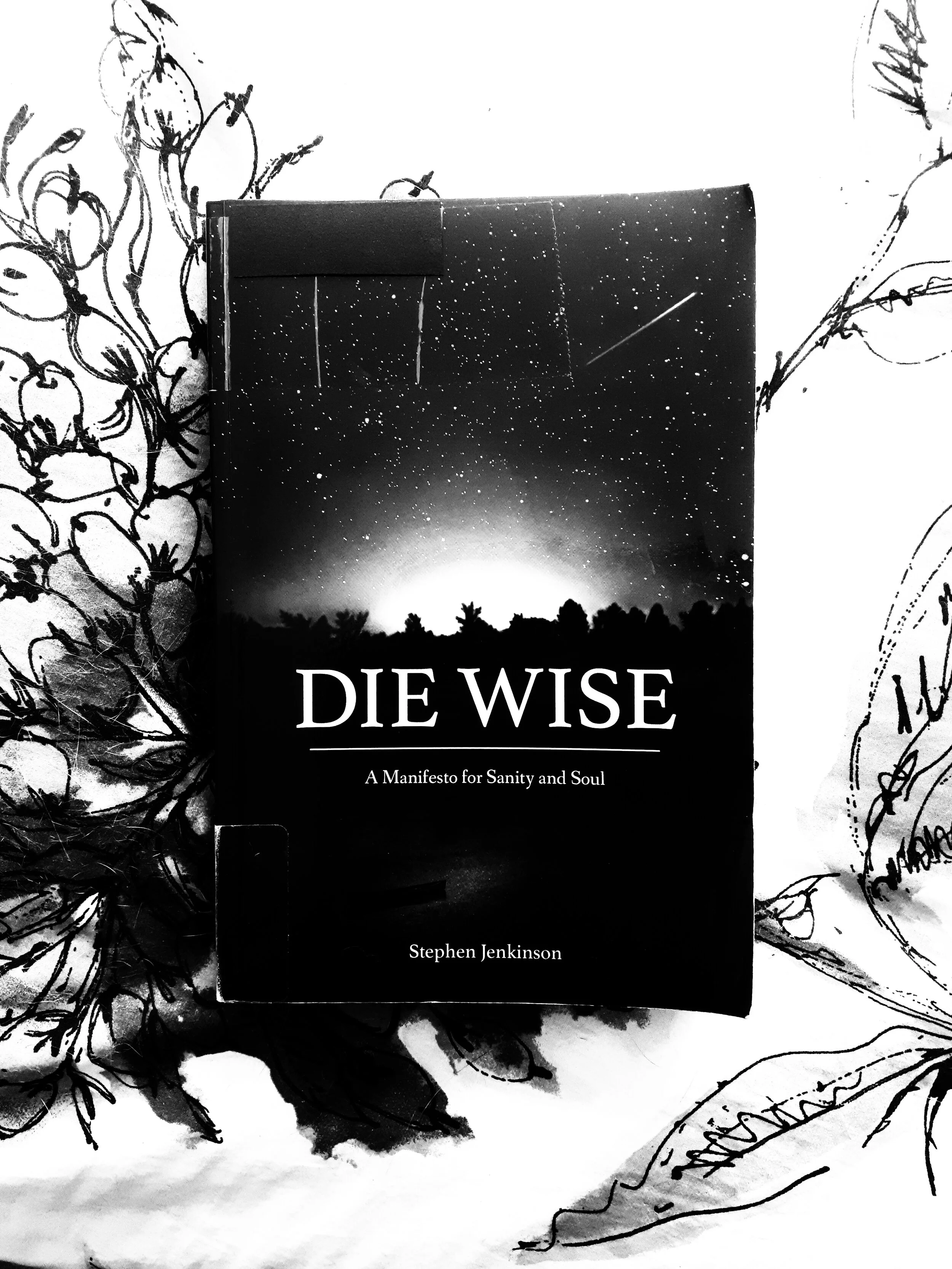 Die Wise (Stephen Jenkinson)