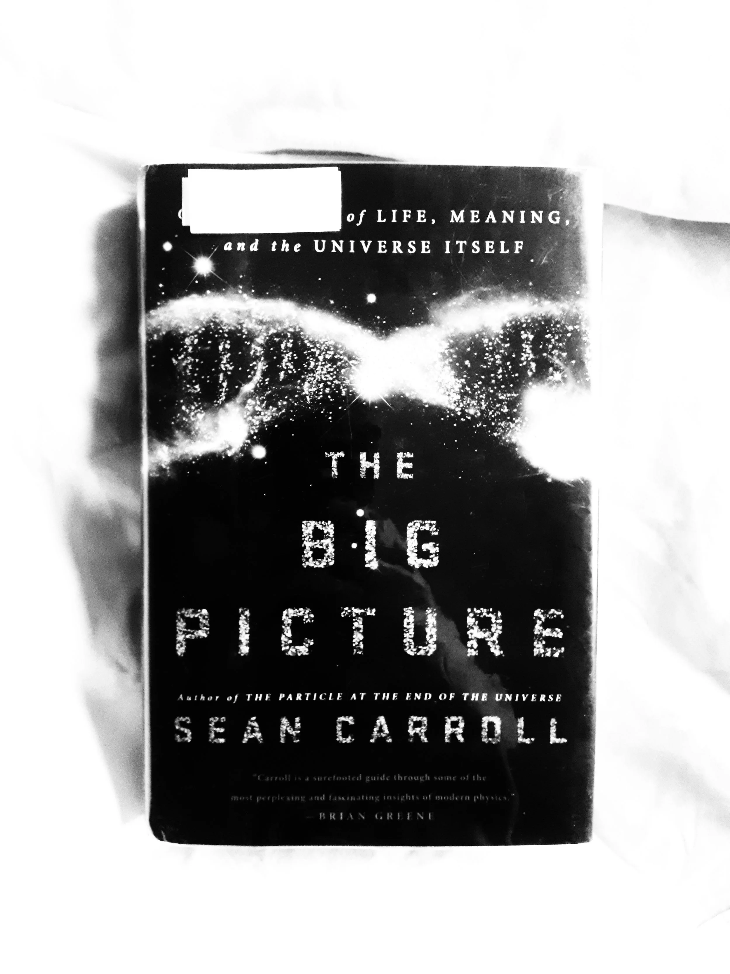 The Big Picture (Sean Carroll)