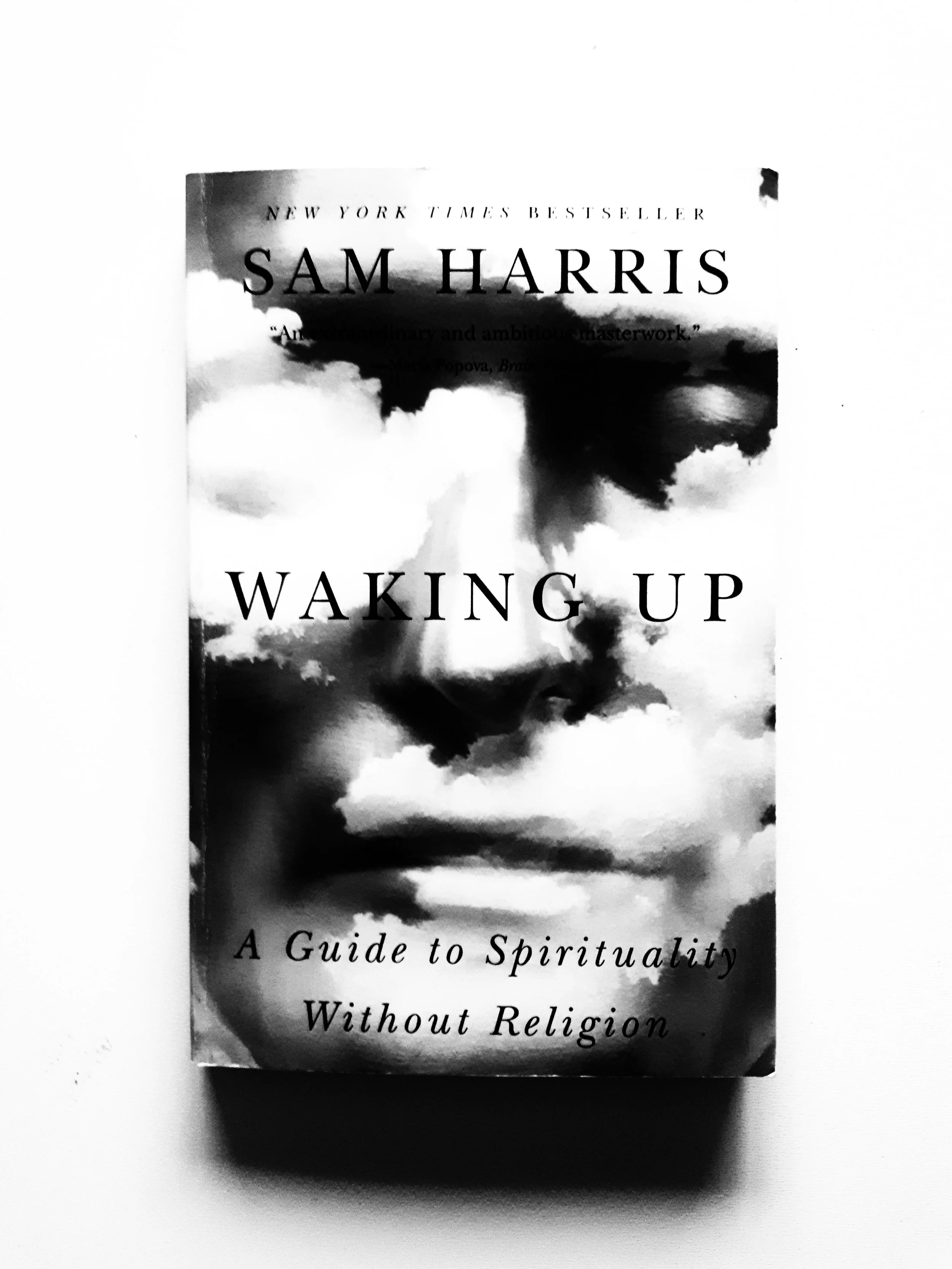 Waking Up - A Guide to Spirituality Without Religion (Sam Harris)
