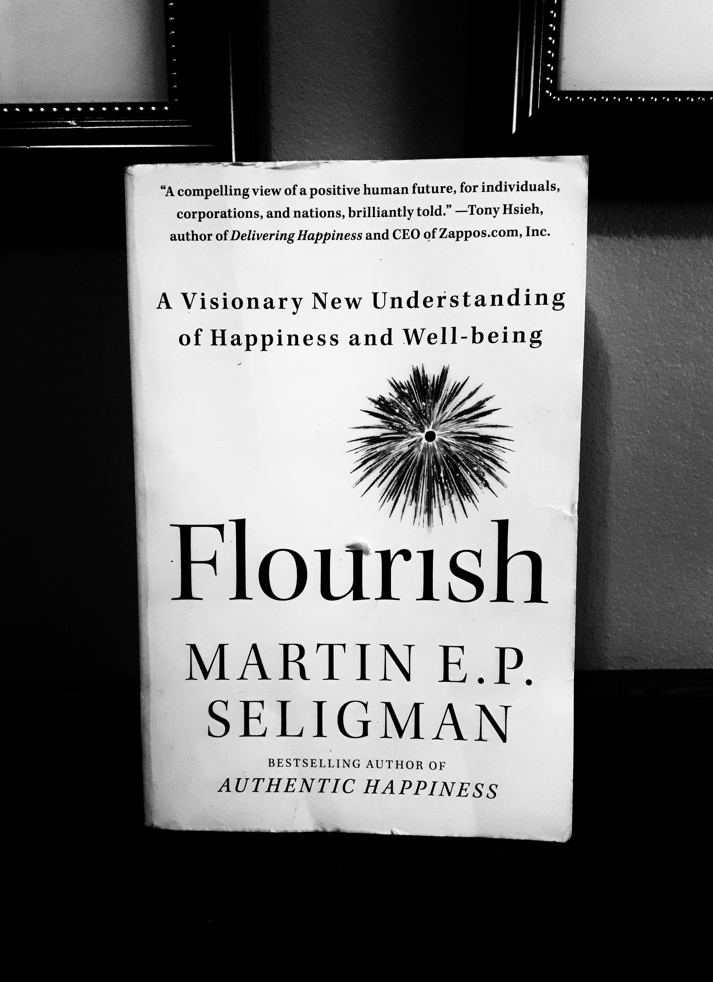 Flourish (Martin Seligman)