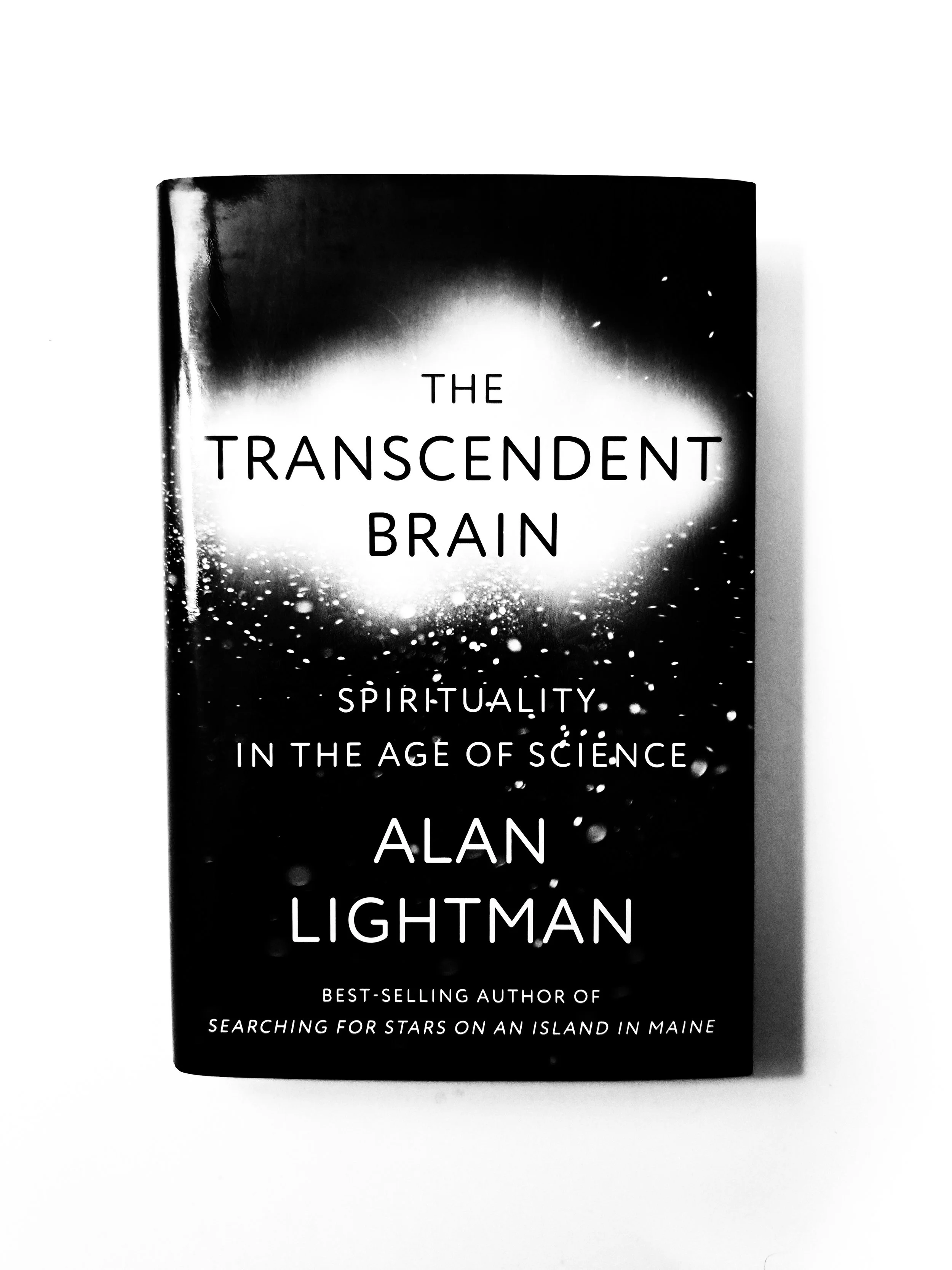 The Transcendent Brain (Alan Lightman)