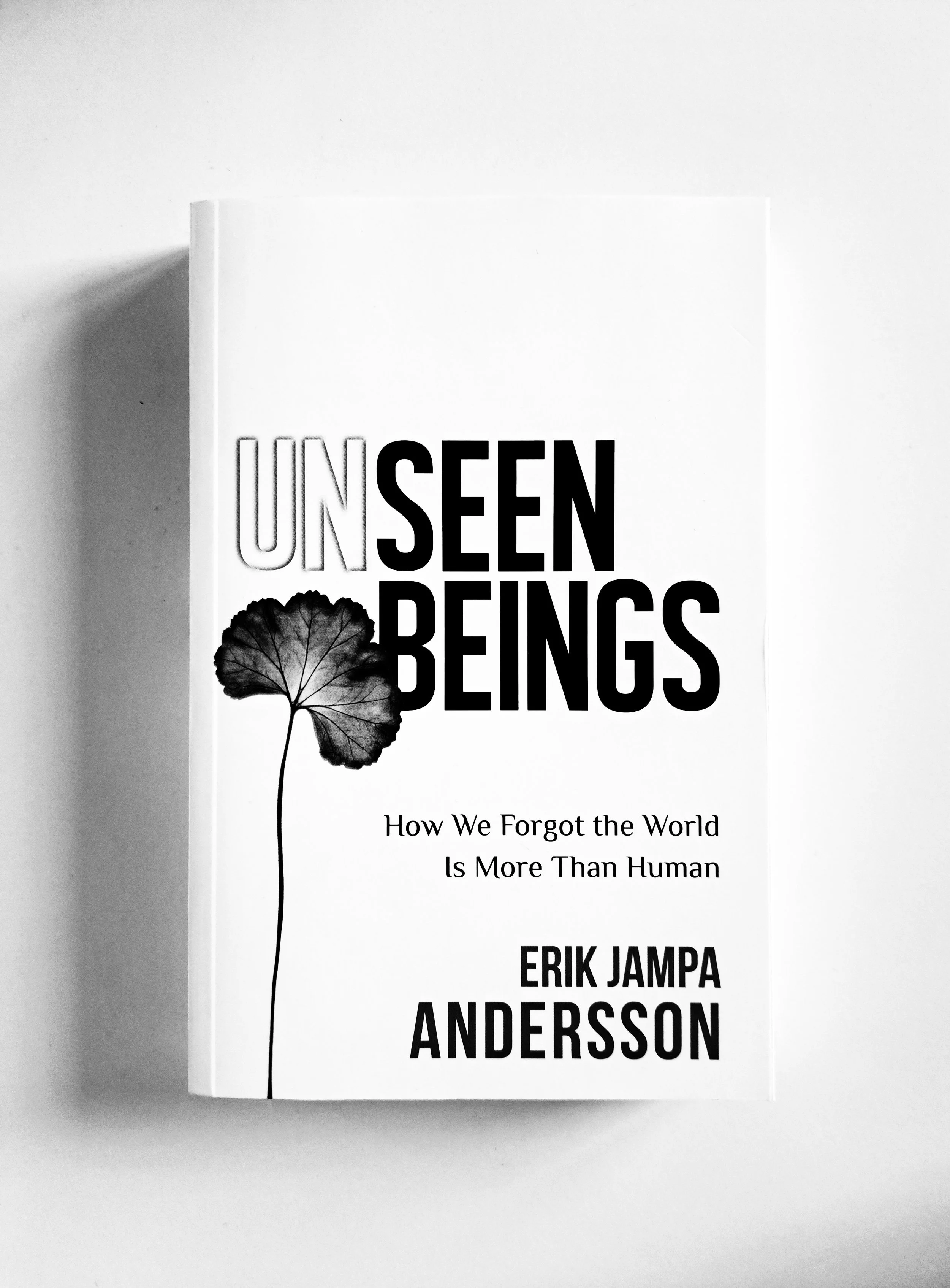 Unseen Beings (Erik Jampa Andersson)