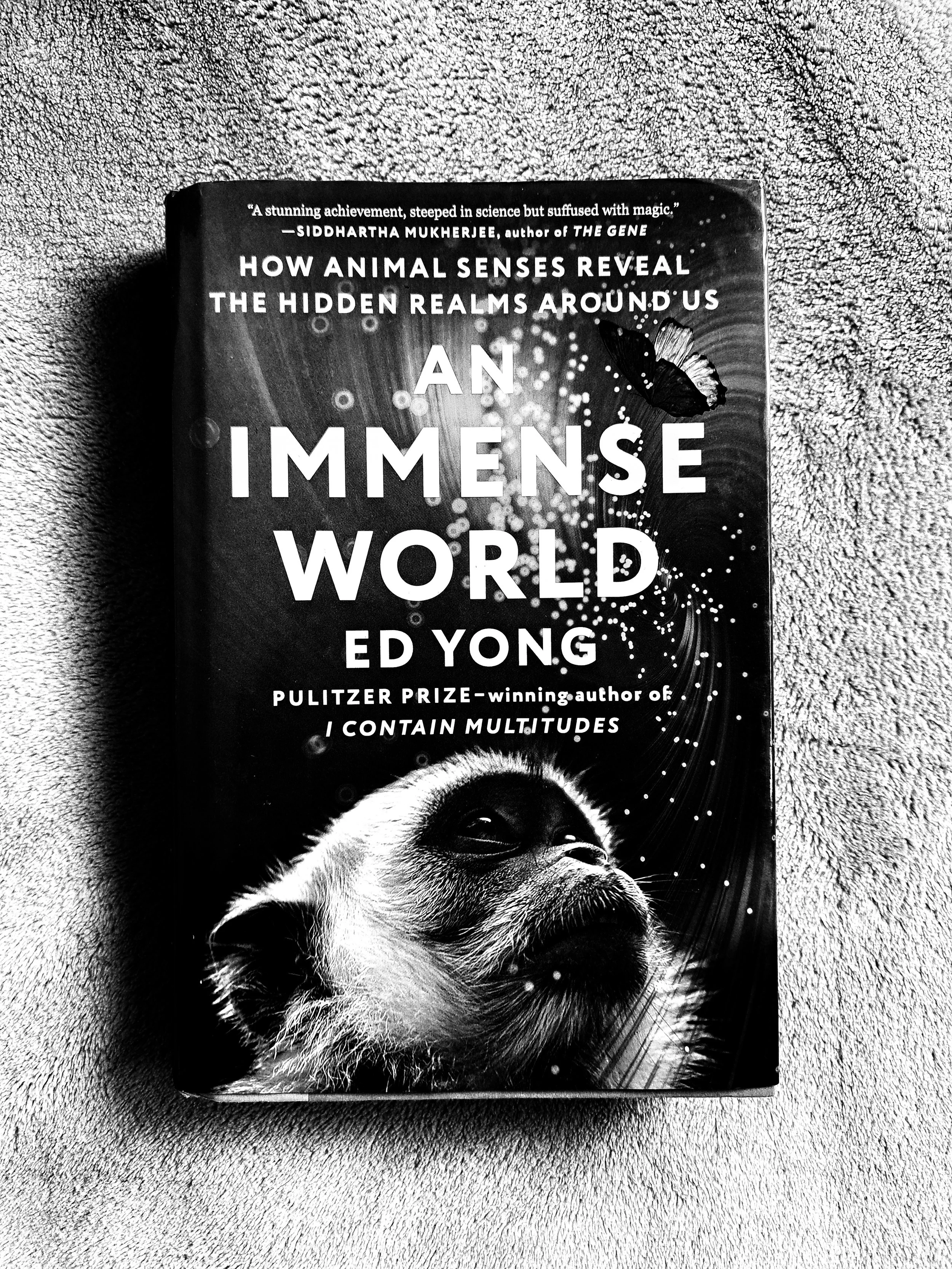 An Immense World (Ed Yong)