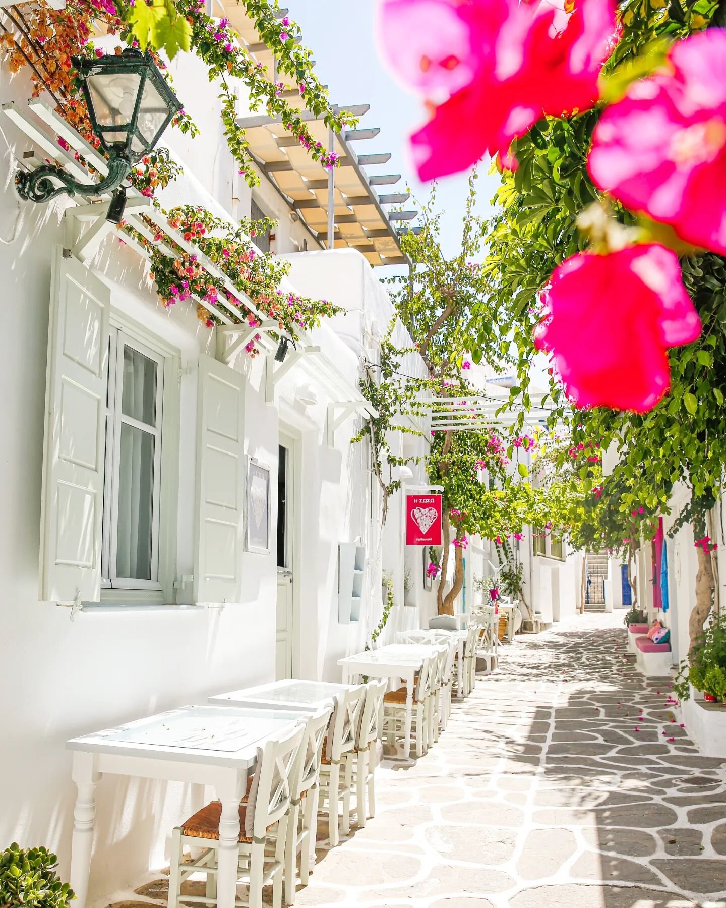 Sneak-peek of some of my new Greece prints landing on my @etsyuk print shop this week! Ready to sprinkle lots of Greece's iconic pink flowers and cobbled streets onto your walls 😍🌺 {Etsy shop link in bio!}
&deg;
PS: Shipping is FREE to the US &amp;