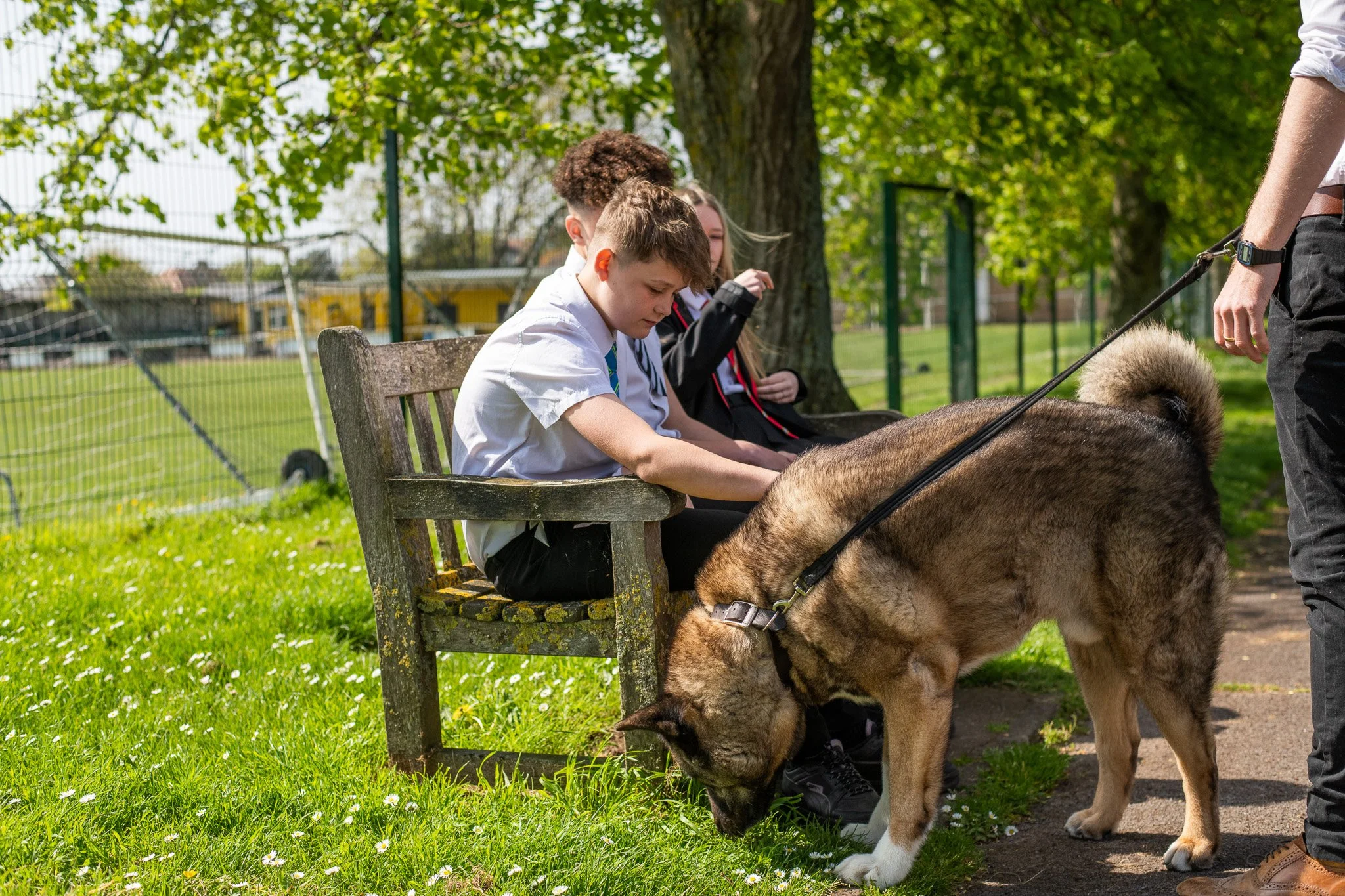 Copy of DSC_3629.jpg