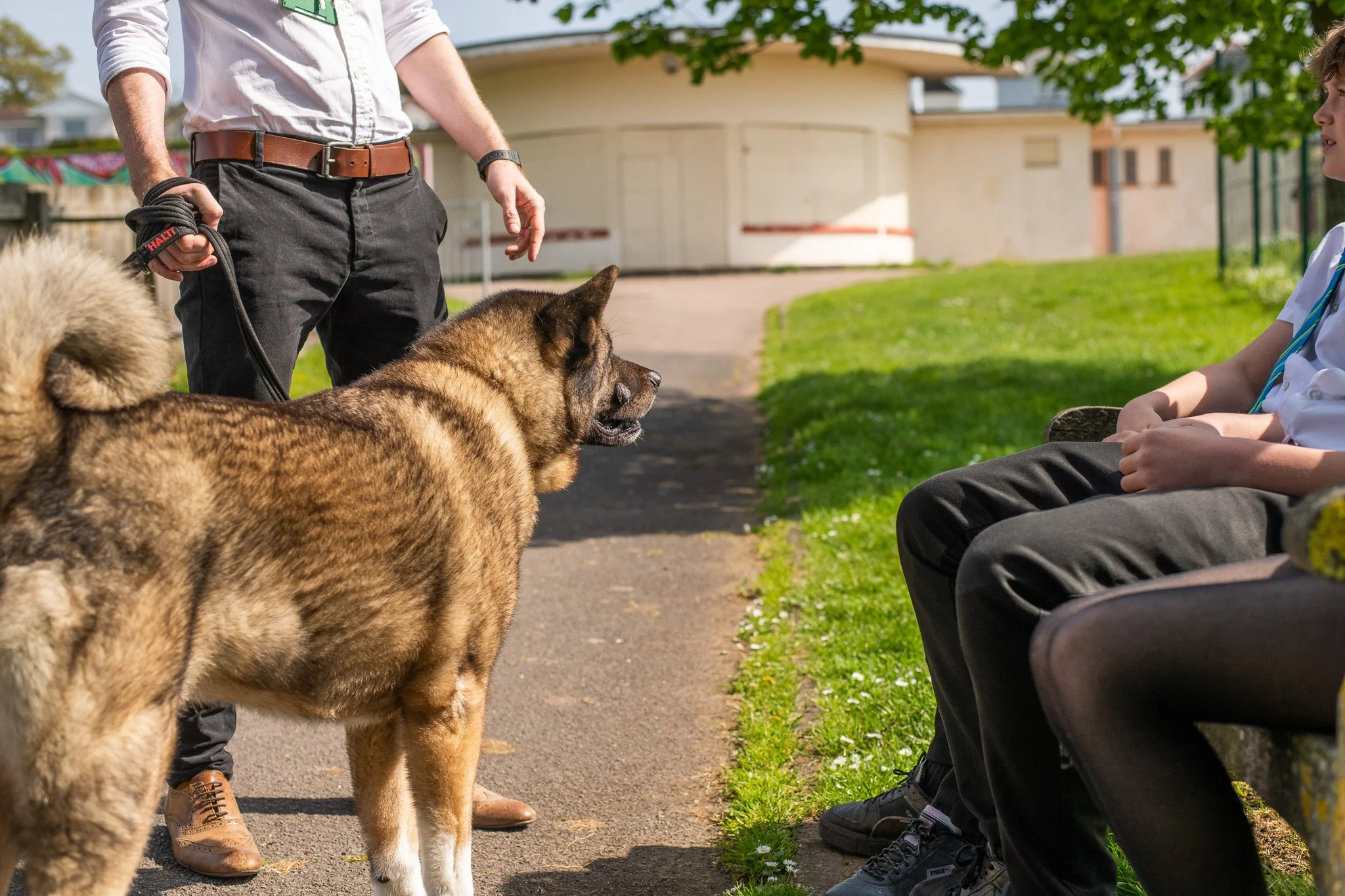 Copy of DSC_3616.jpg